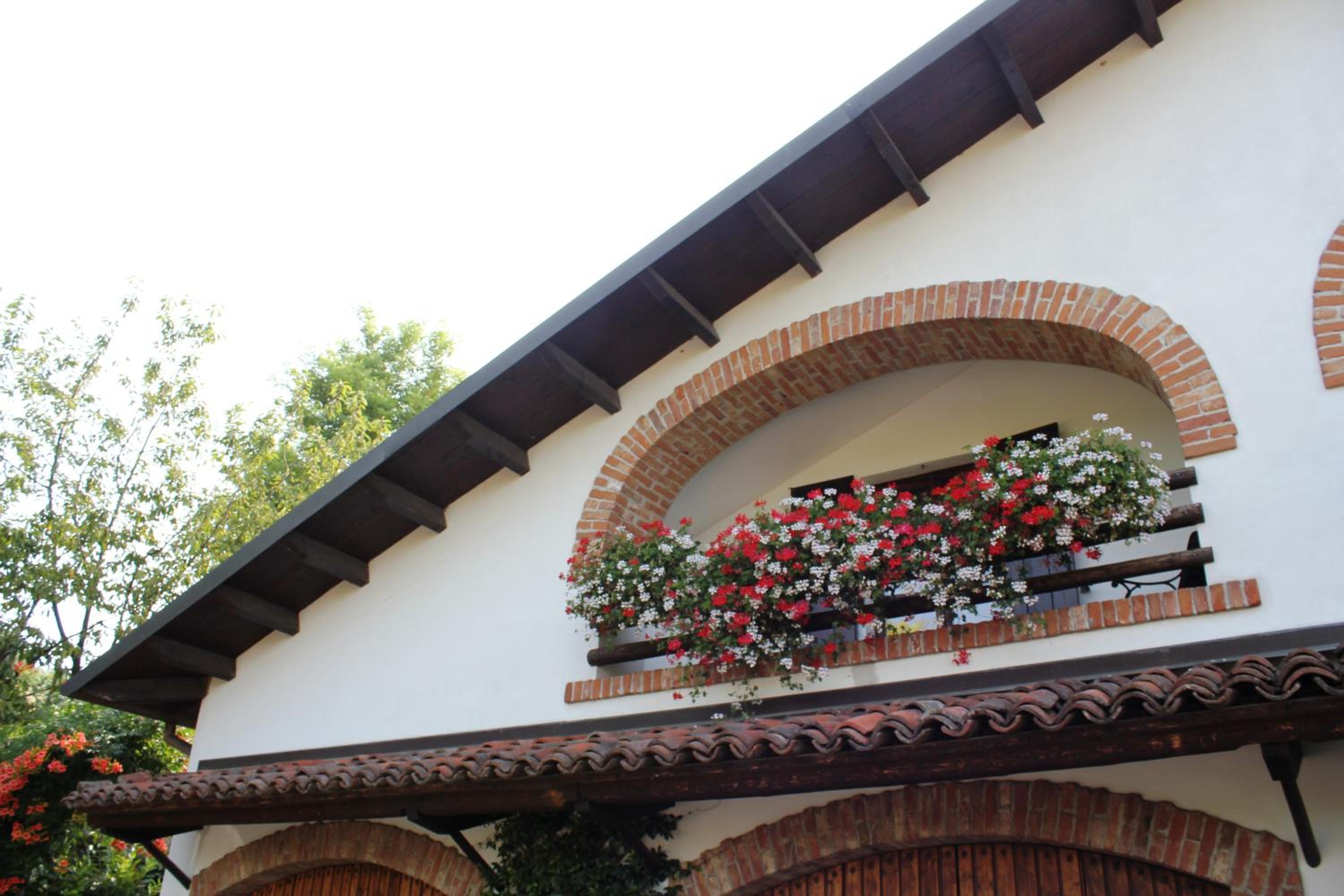 Bed And Breakfast Olimpia view 5