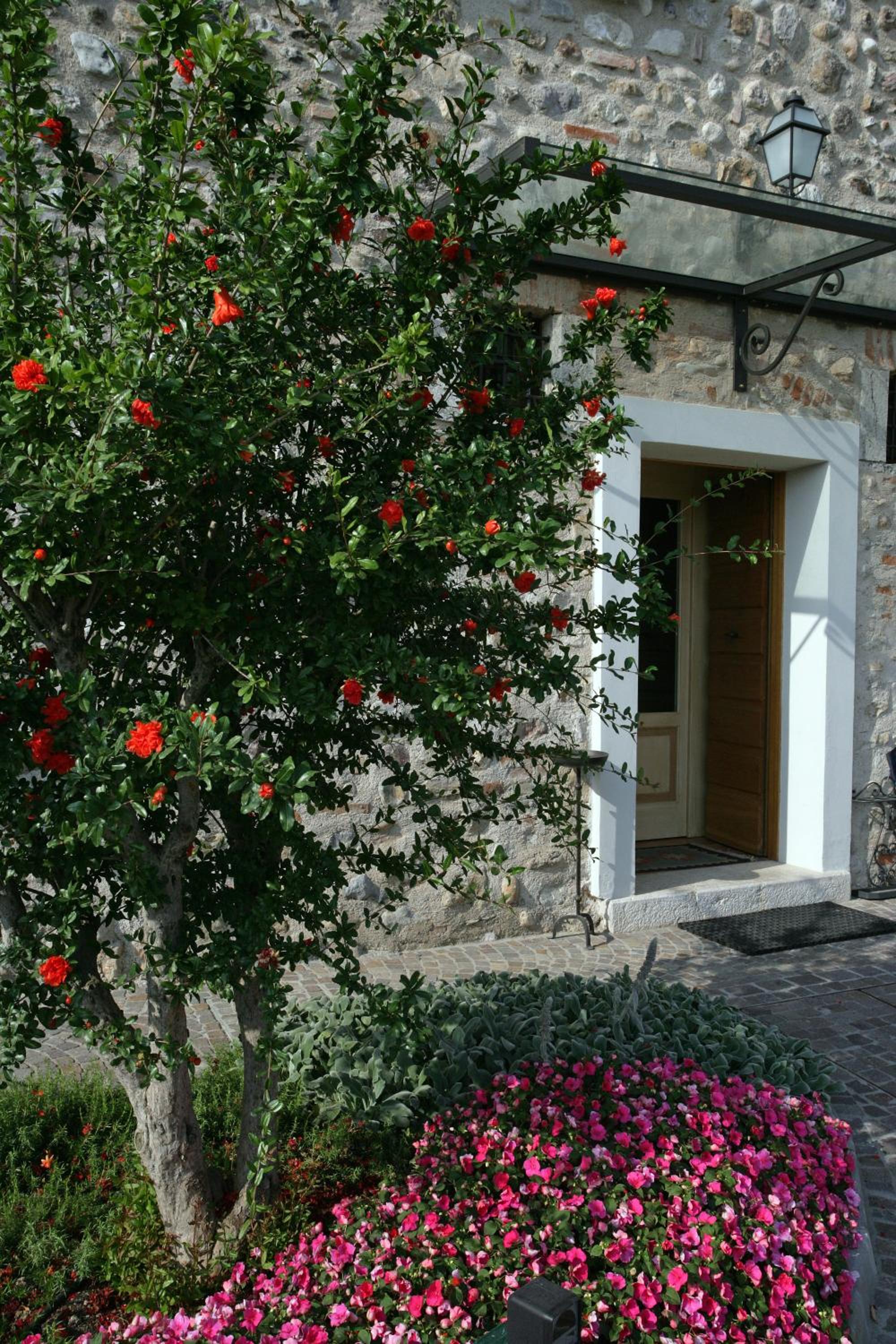 Agriturismo Macesina