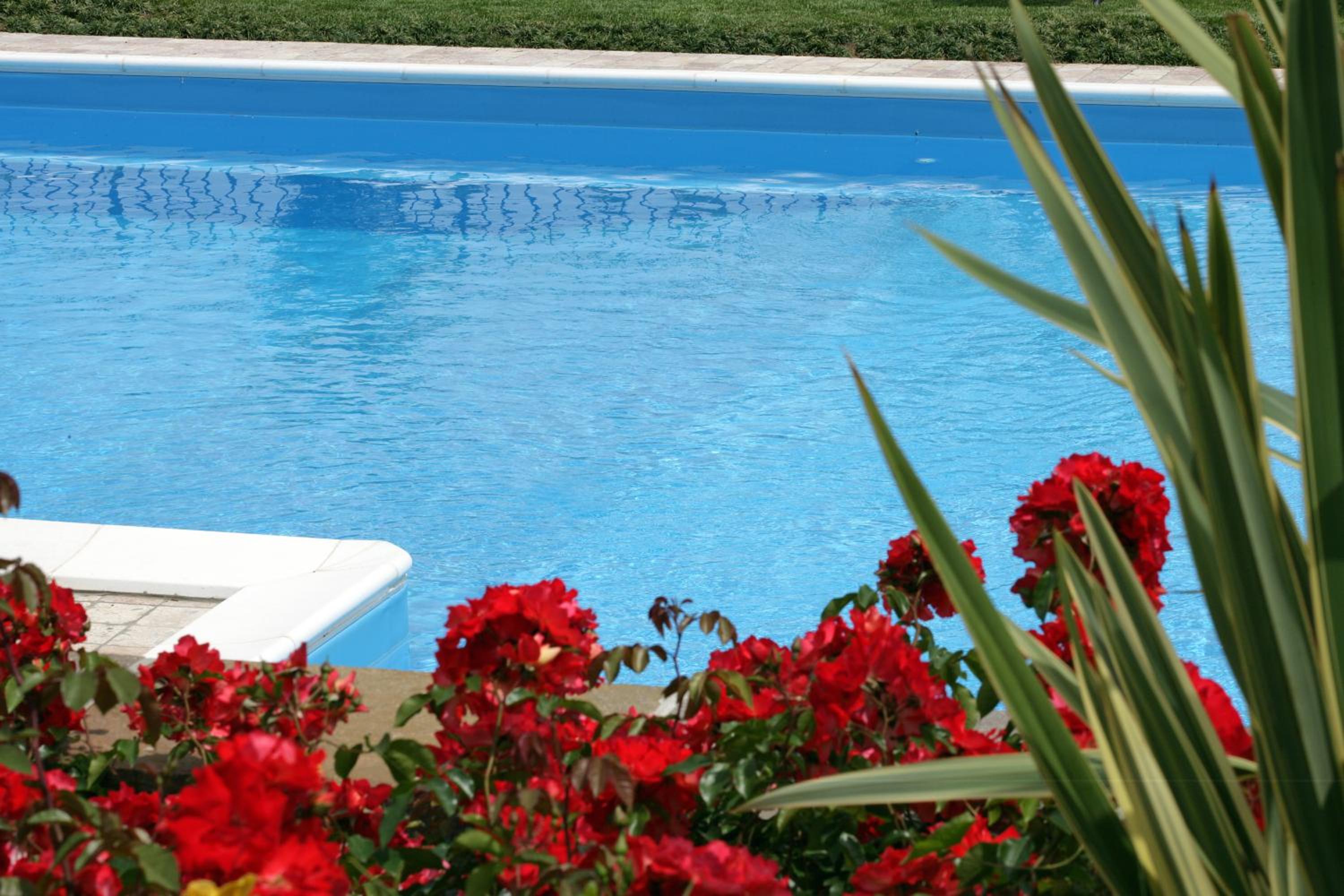Agriturismo Macesina