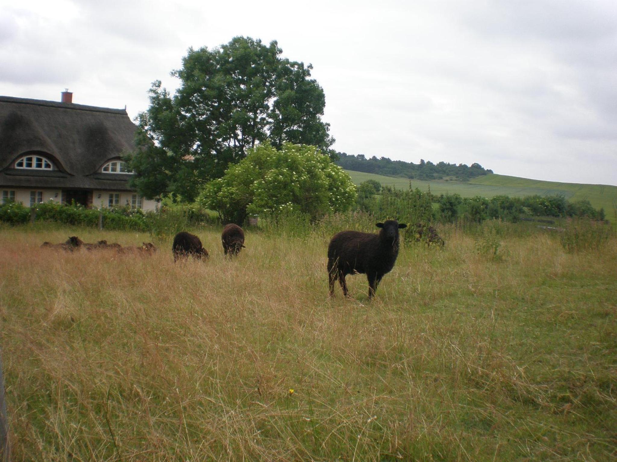 Photo 23