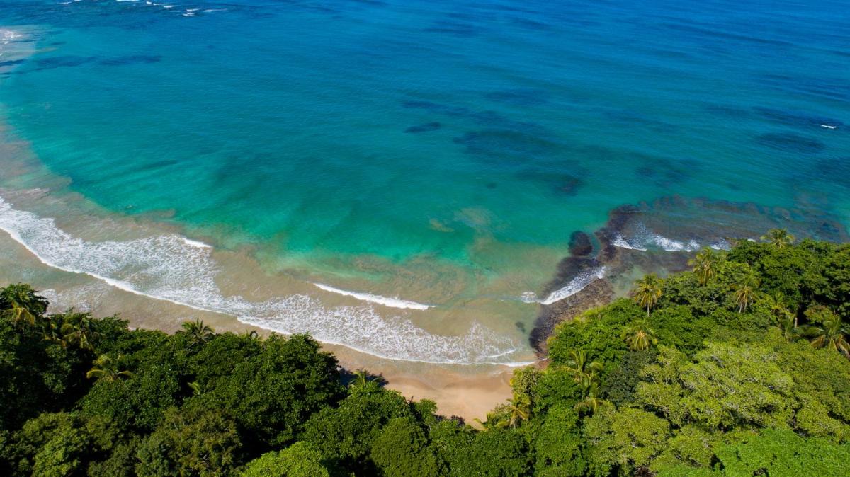Casa Cerise Beachfront