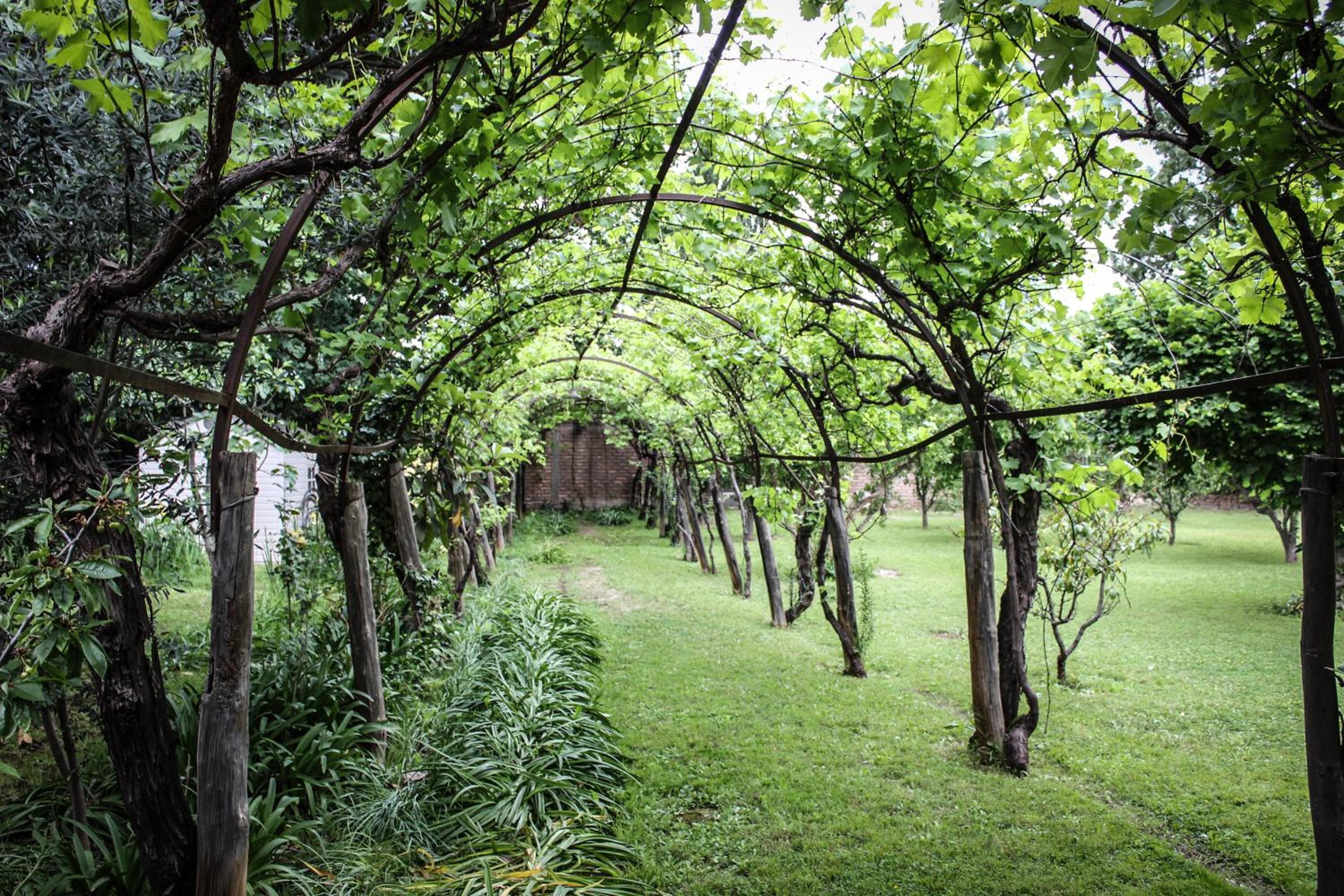 Quinta Ugarte