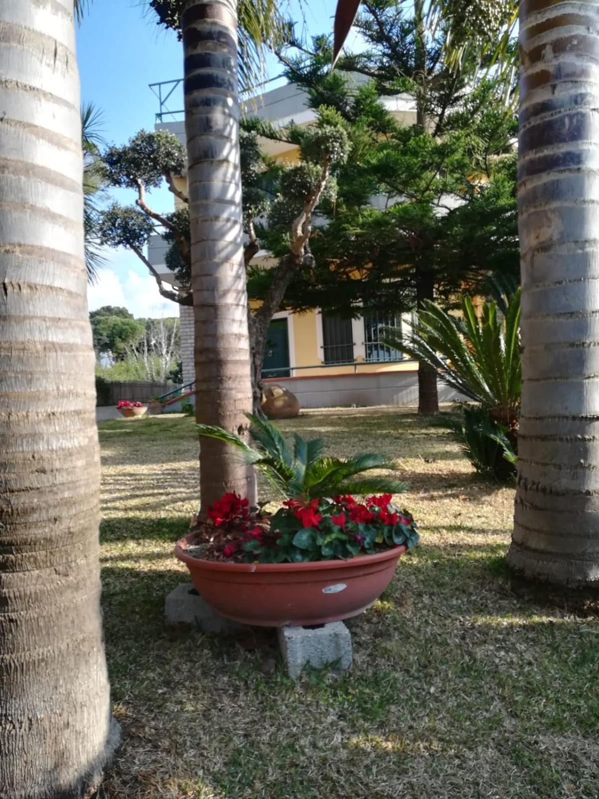 Photo 20