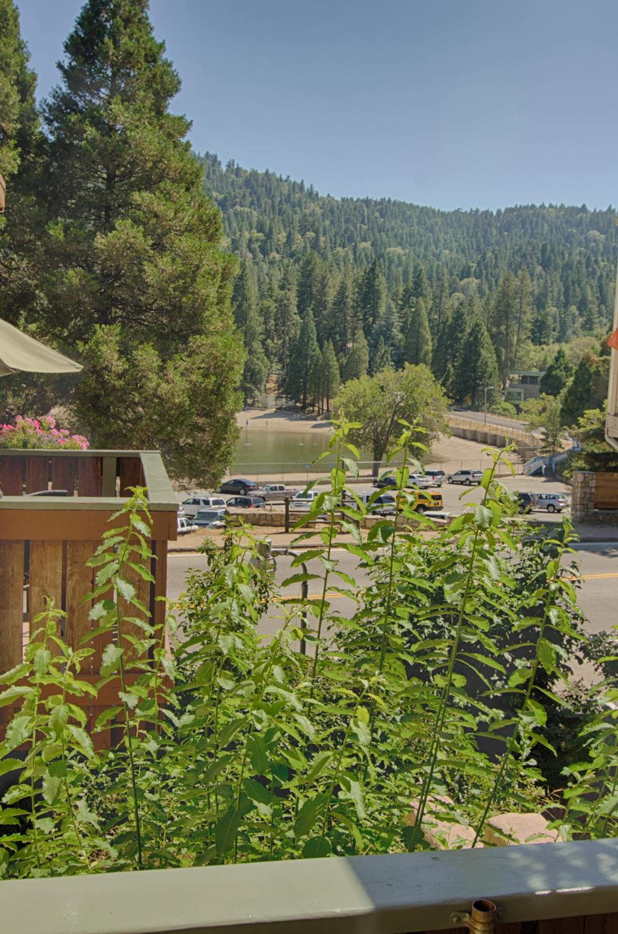 The North Shore Inn