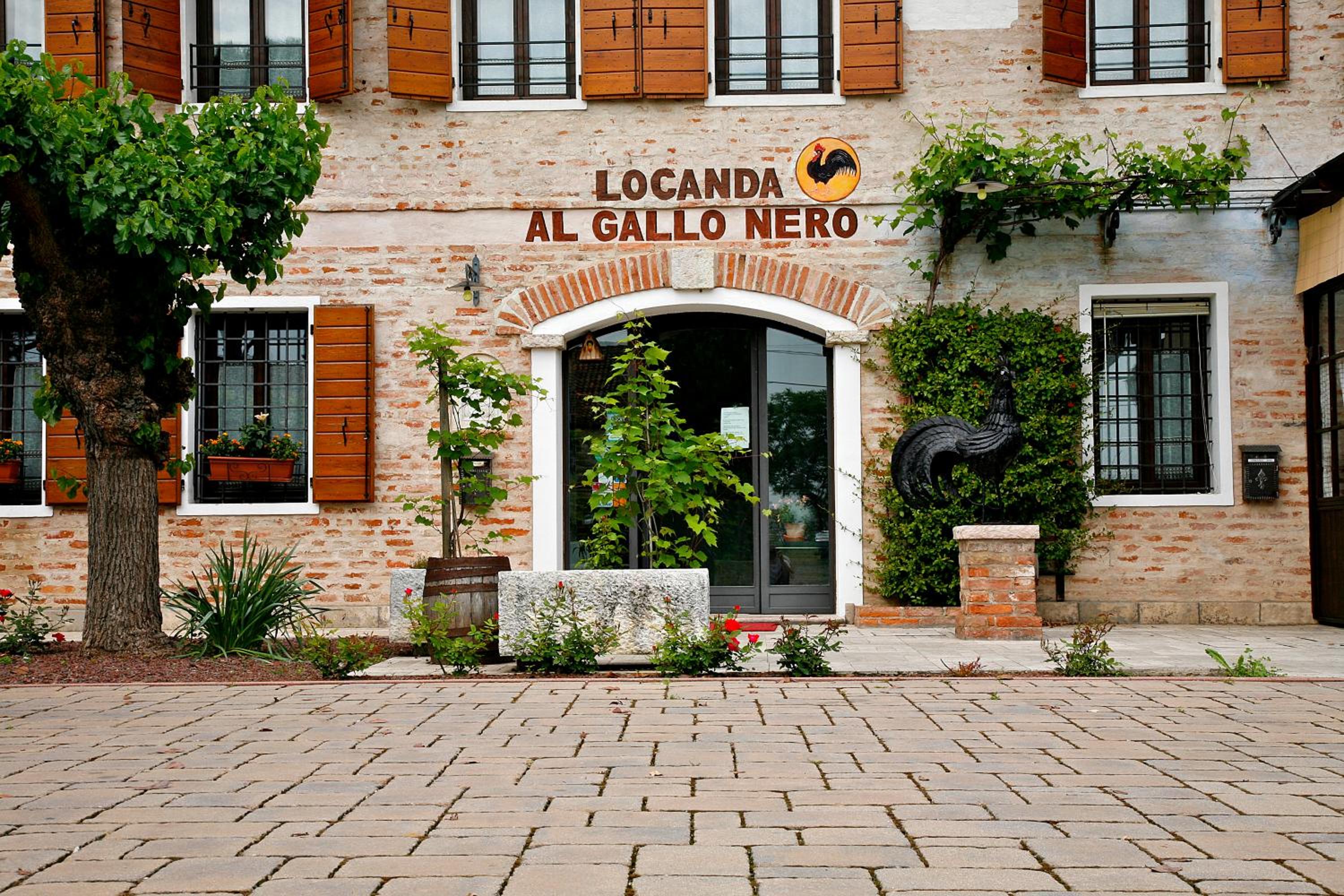Al Gallo Nero