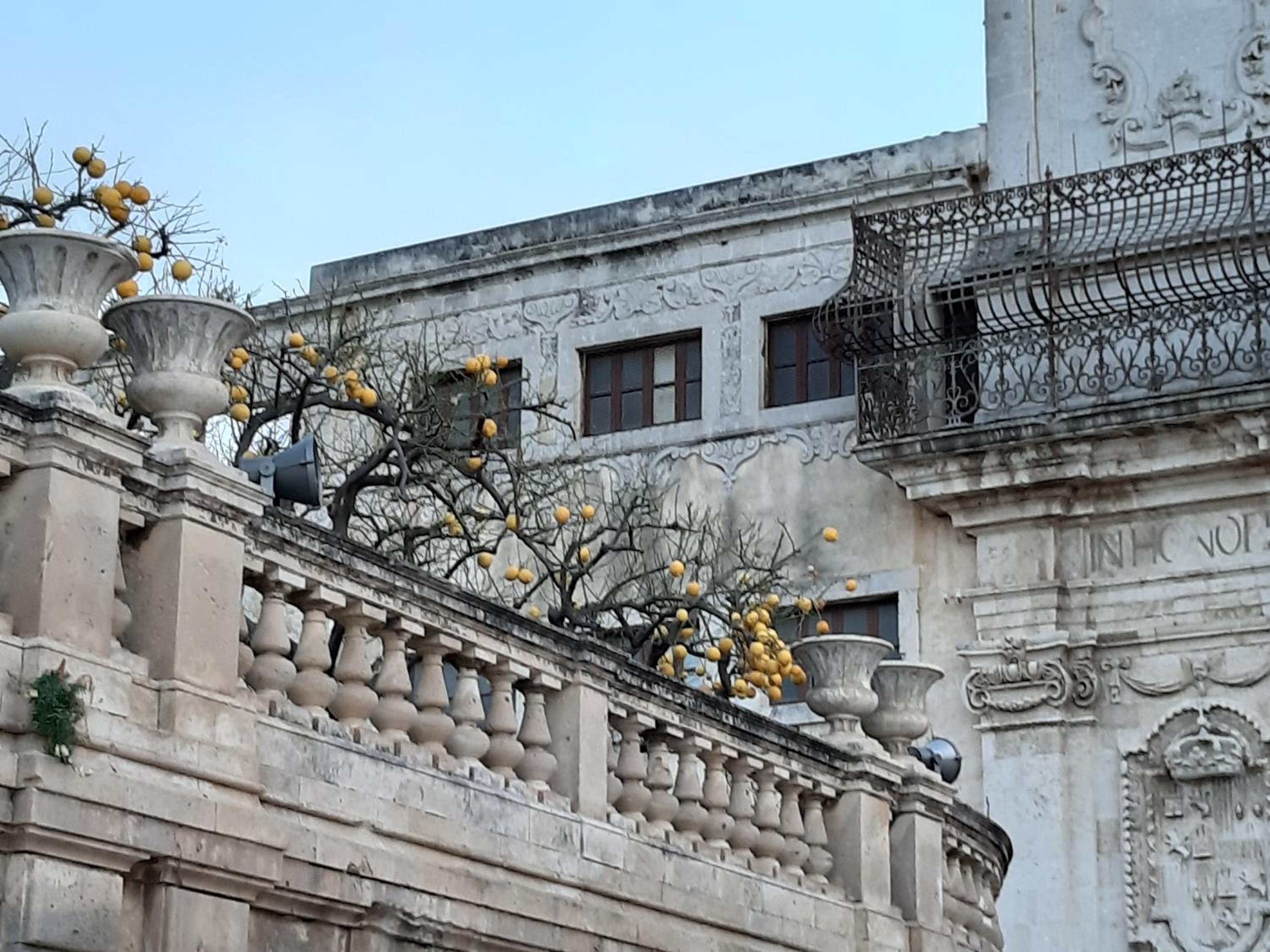 Magica Ortigia