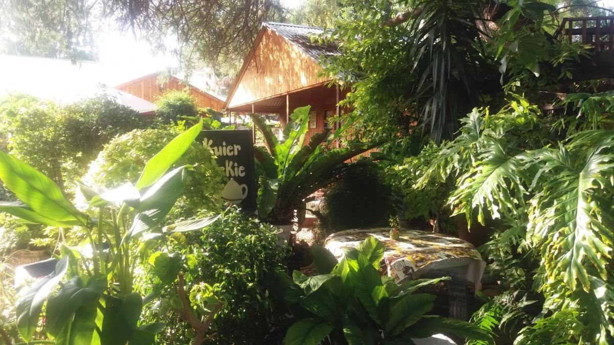 Reggies bed & breakfast view 3