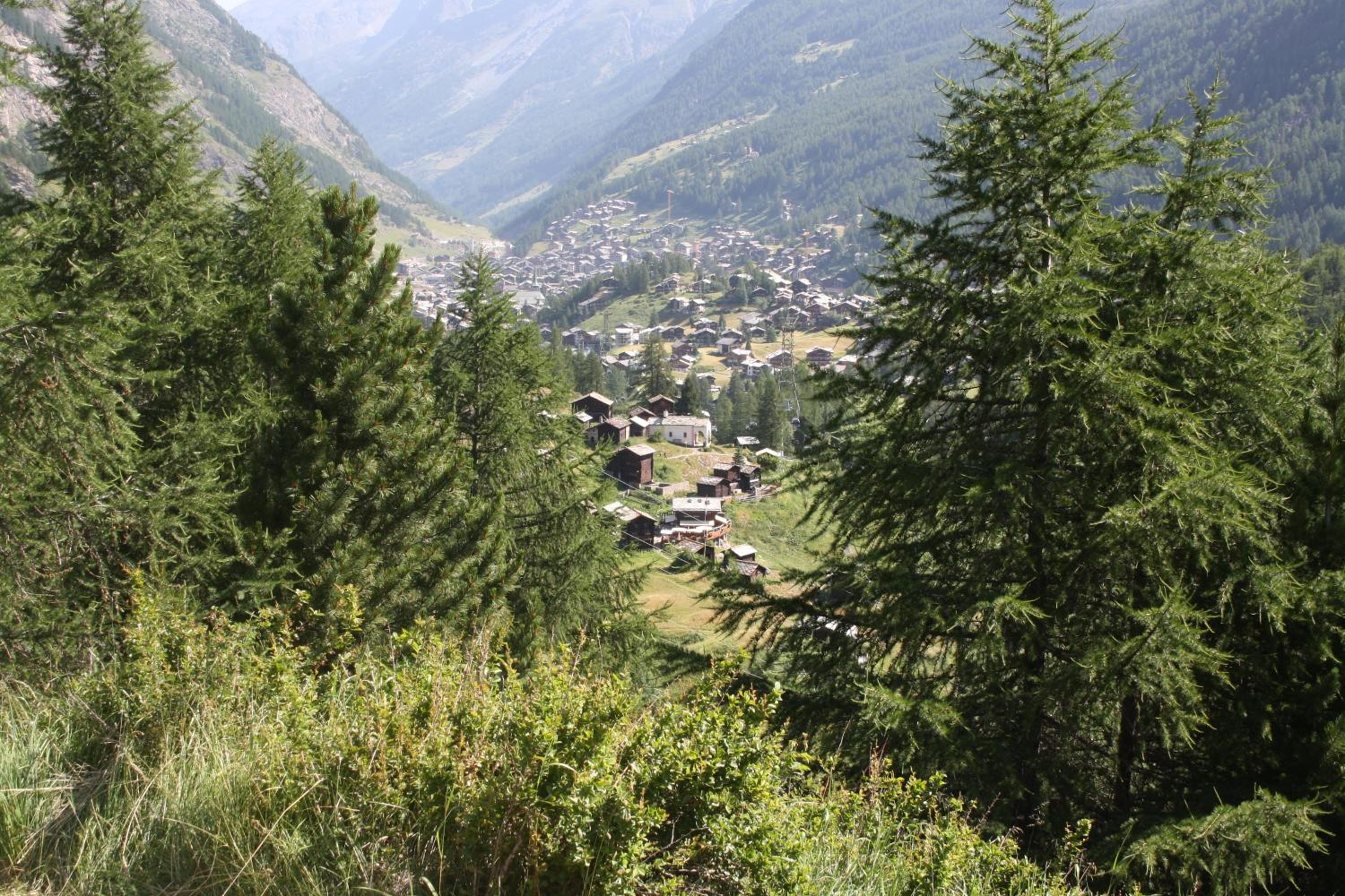 Photo 25