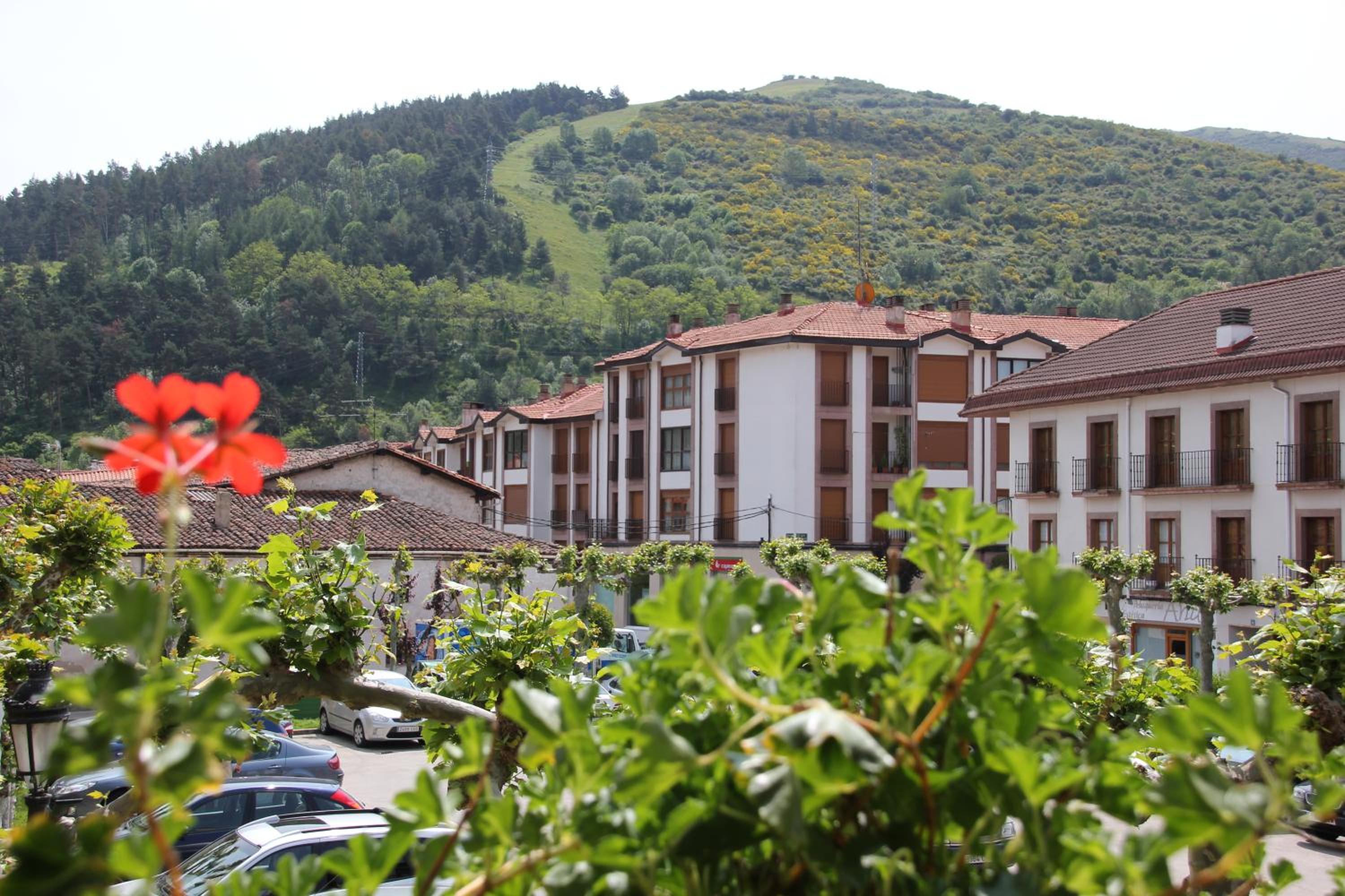 Apartamentos Turísticos Ezcaray