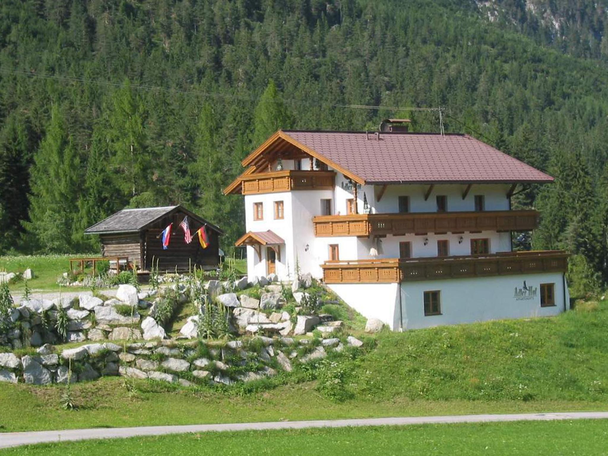 Photo 7