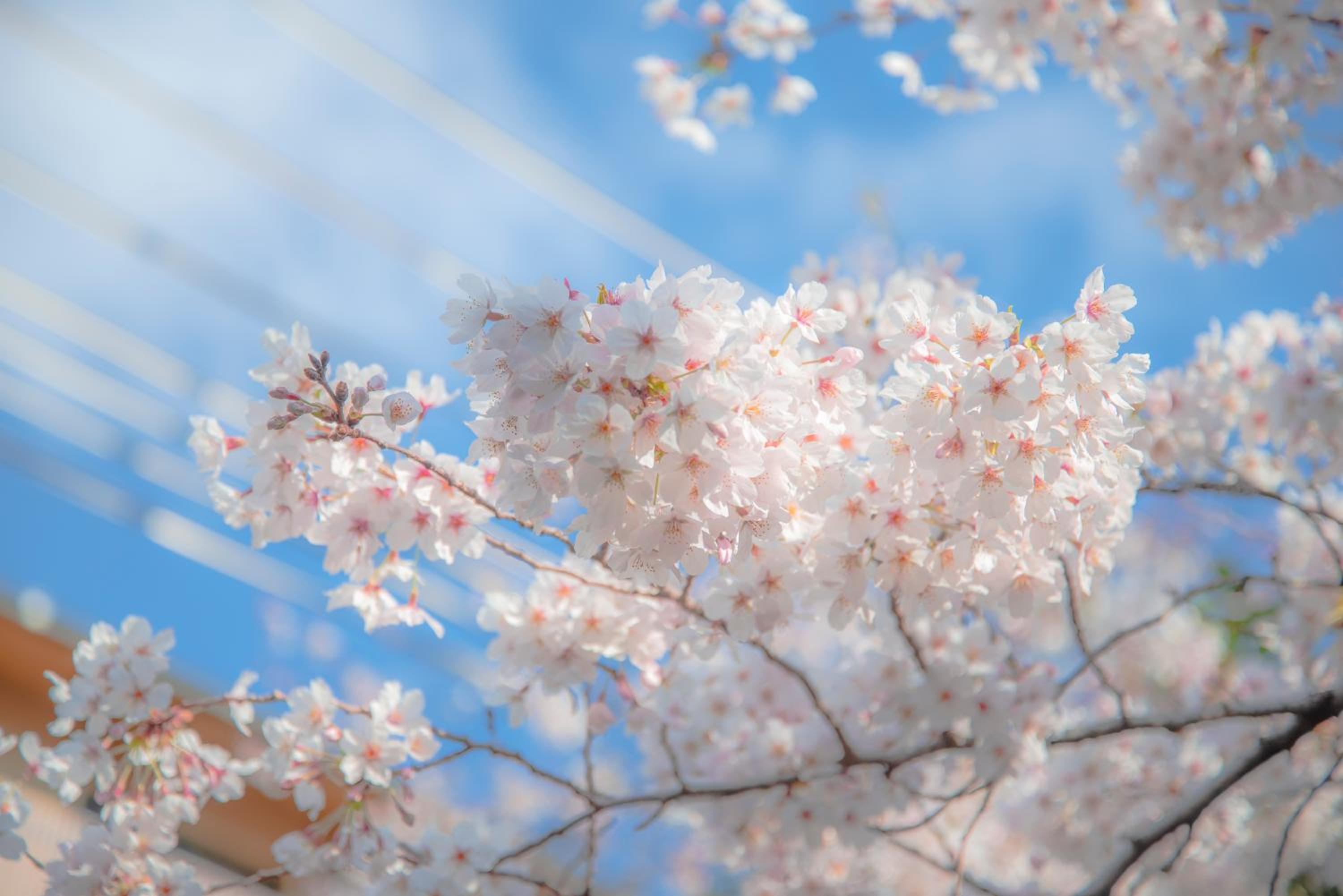 Kyoto Takasegawa Bettei 28