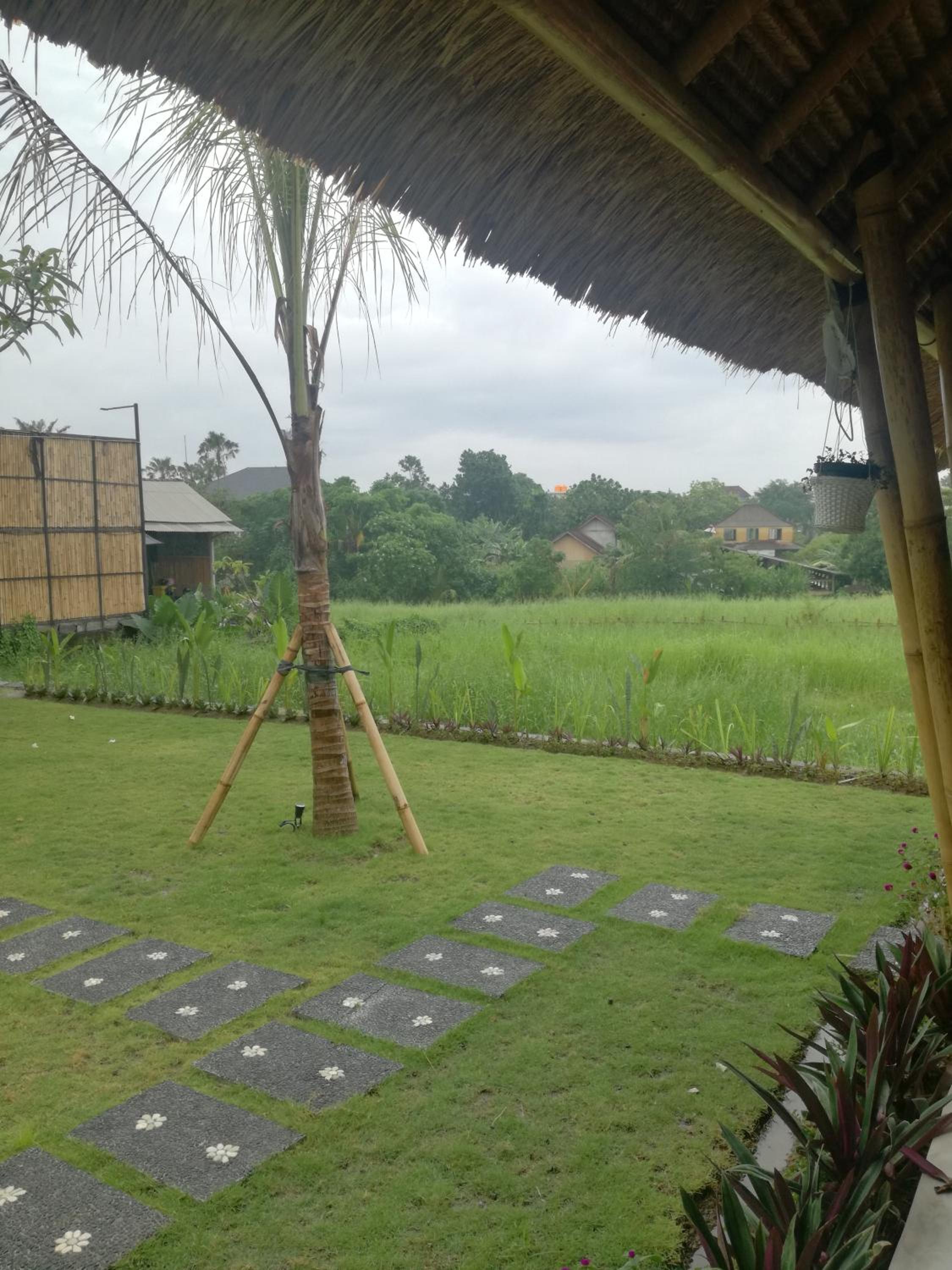 Hello Canggu Homestay