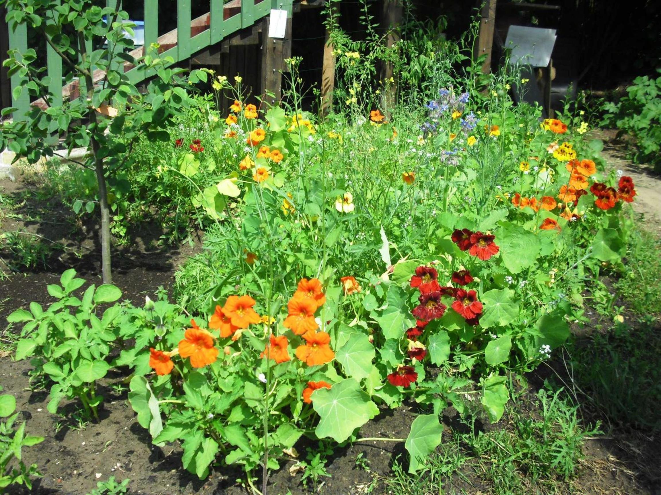 Photo 22