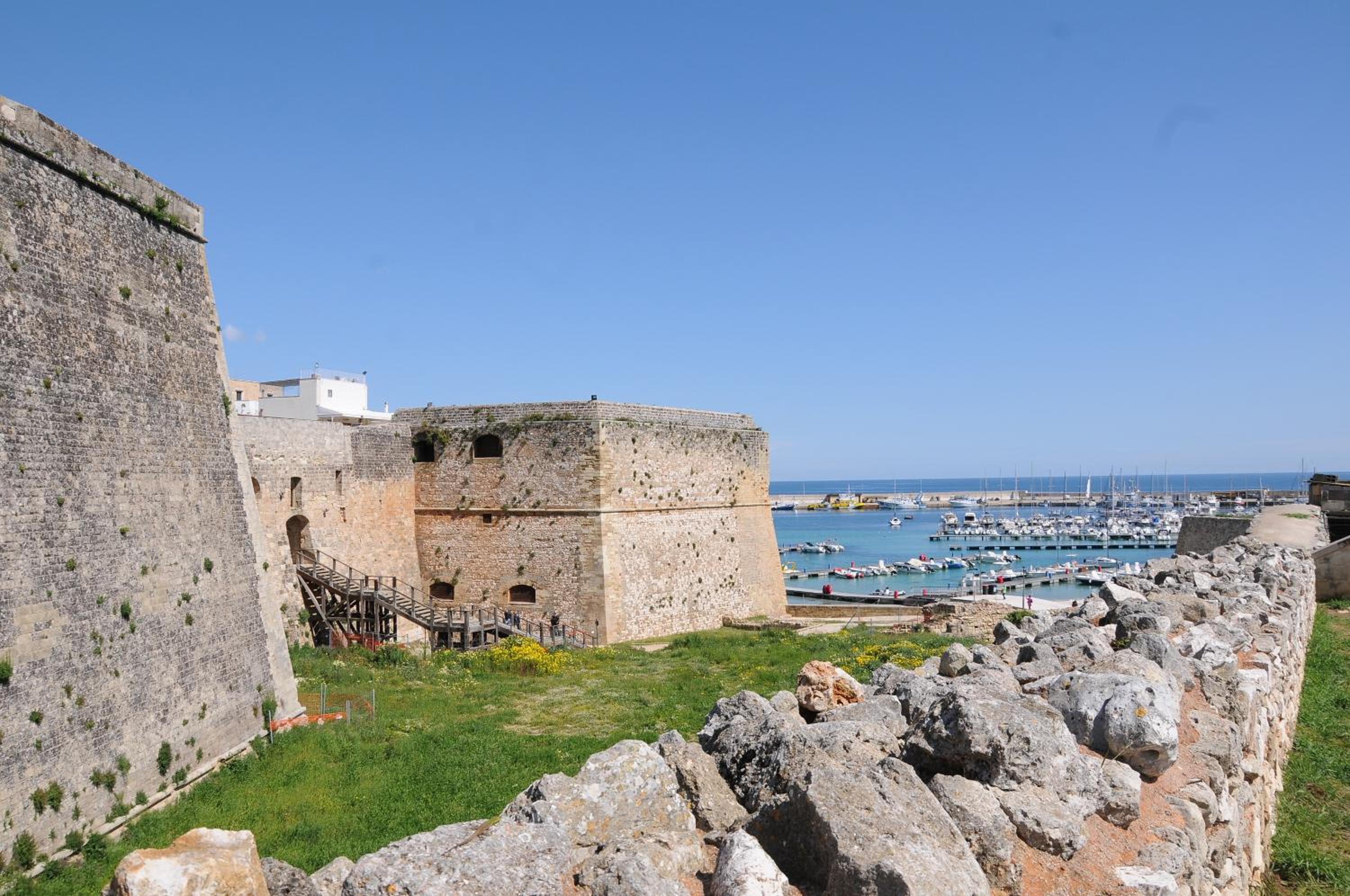 Photo 44