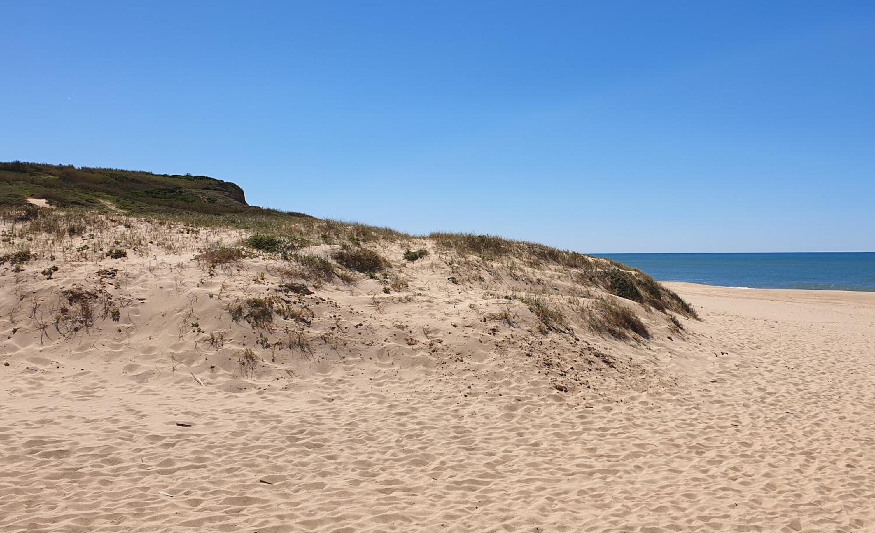 Photo 55
