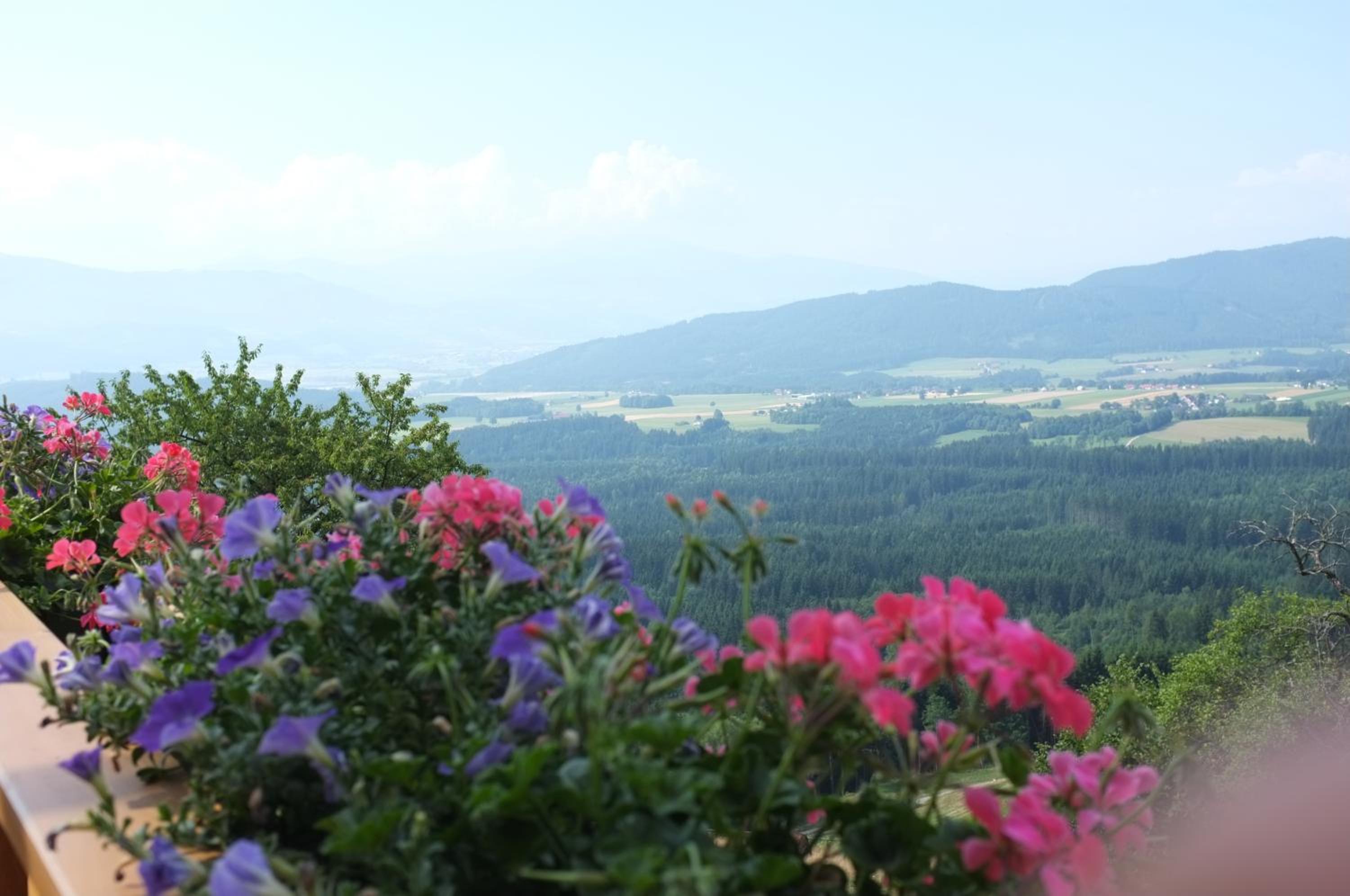 Hochfelner-Prutti - Stockerhof