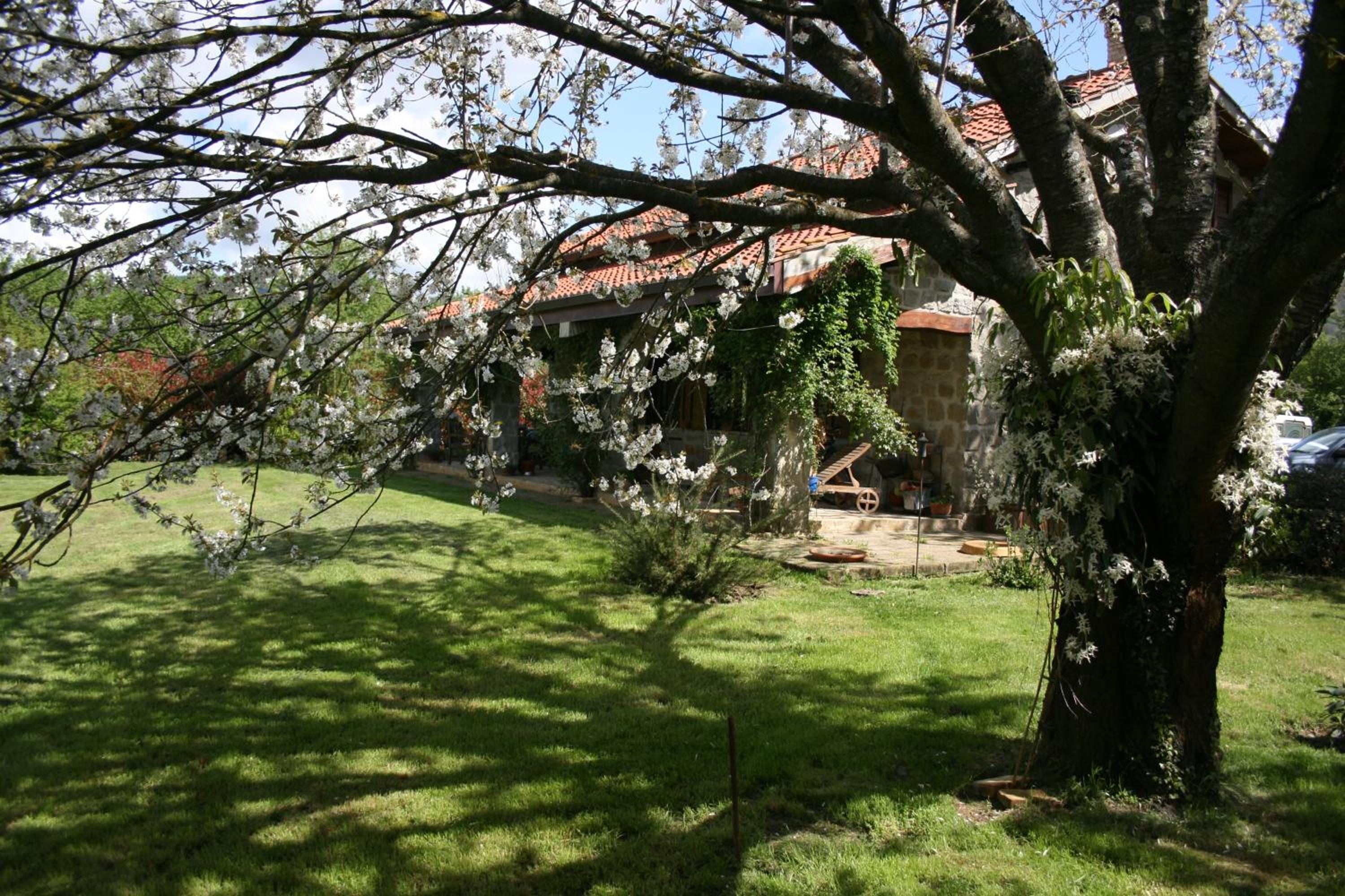 Photo 34