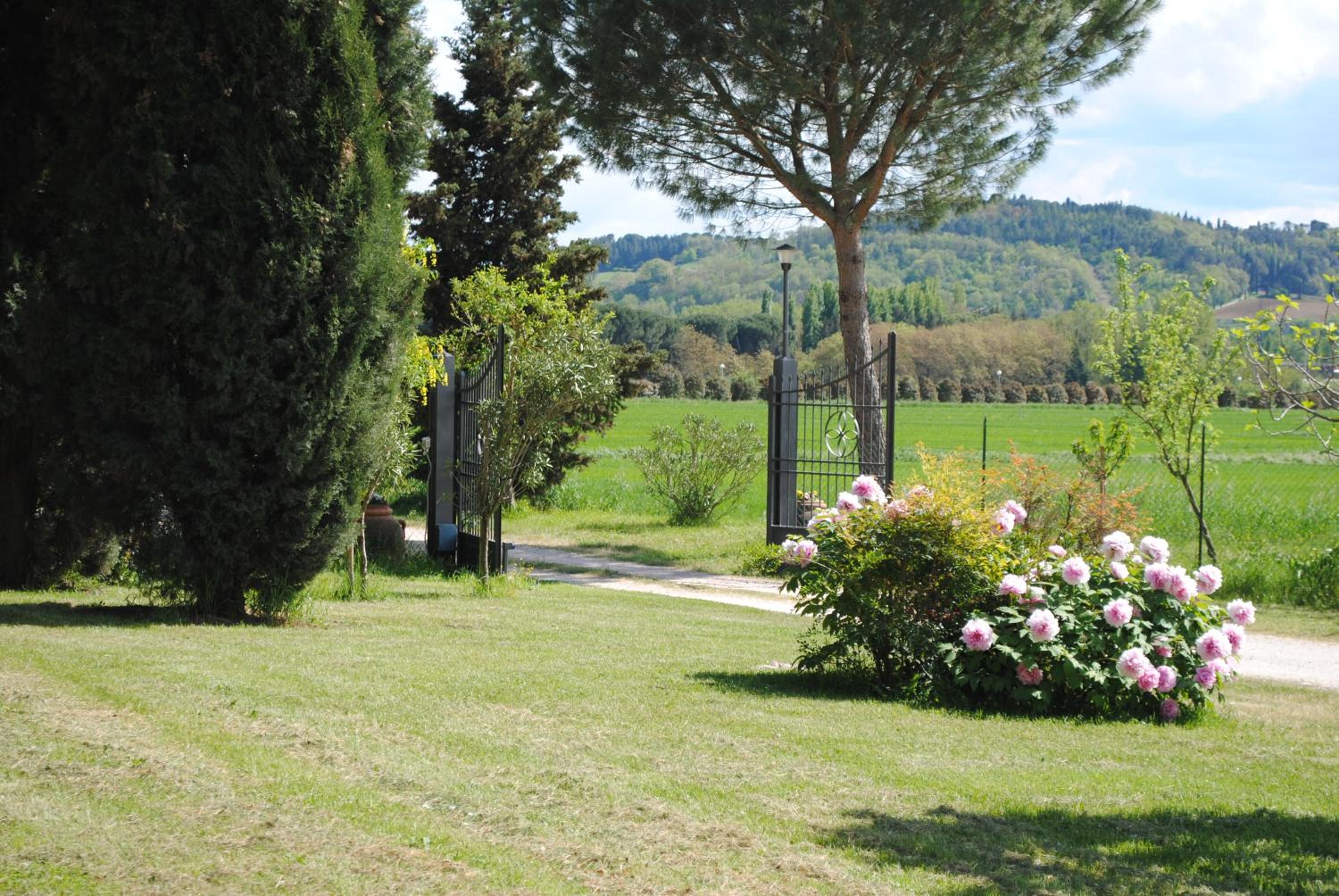 Photo 41