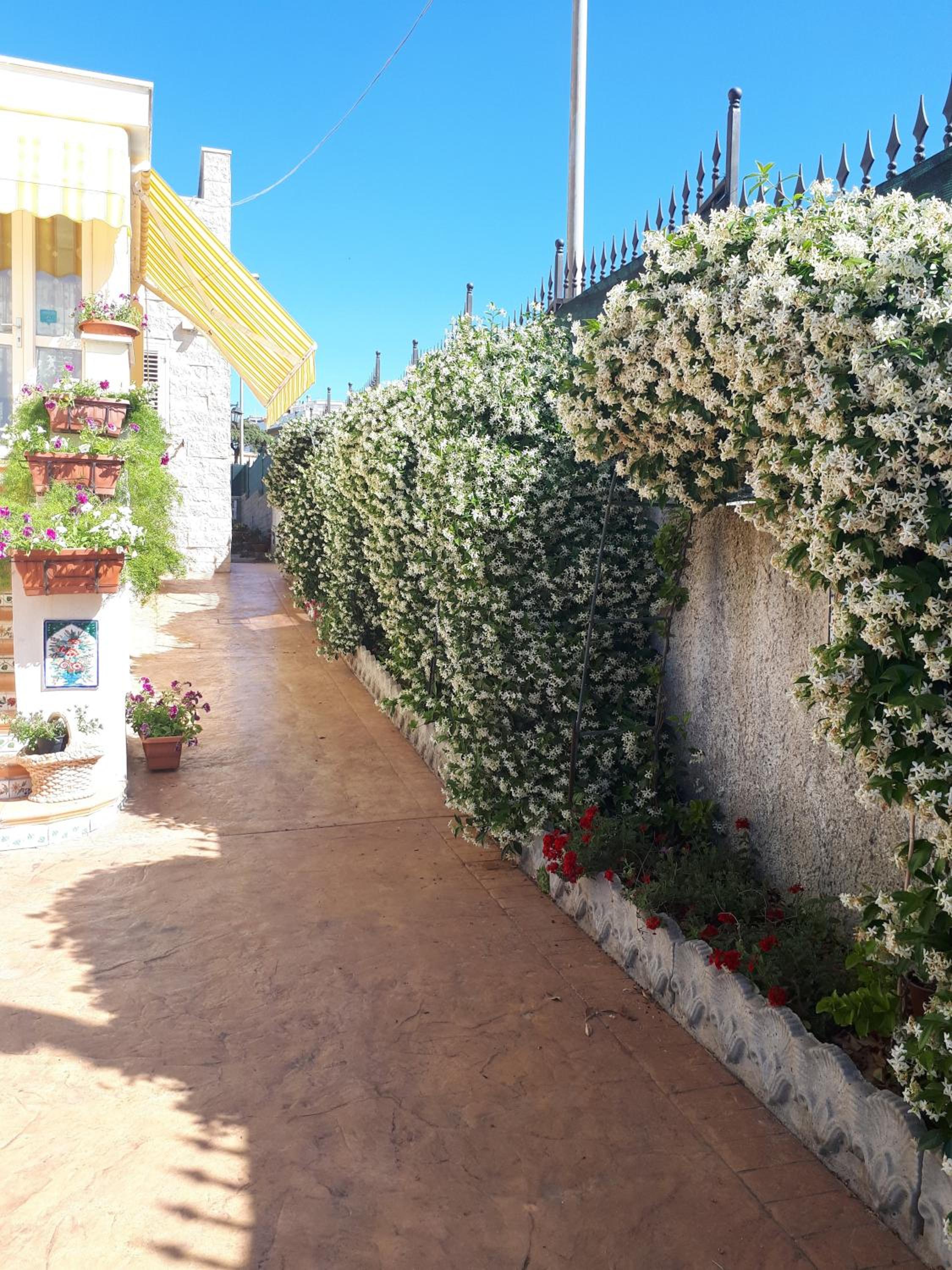 Bed and Breakfast Angolo Fiorito view 5