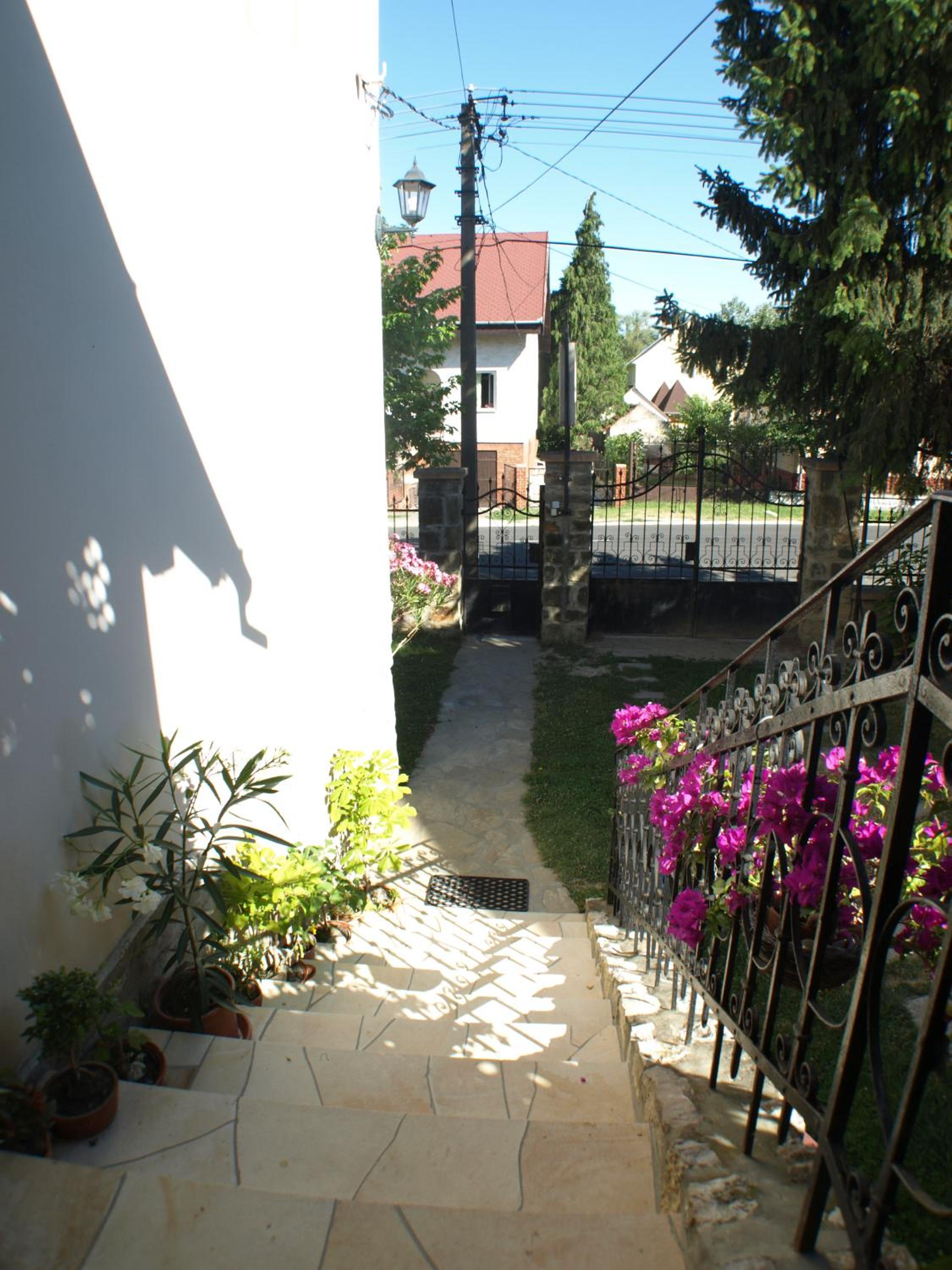 Photo 34