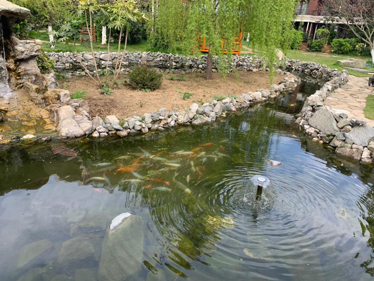 Photo 47