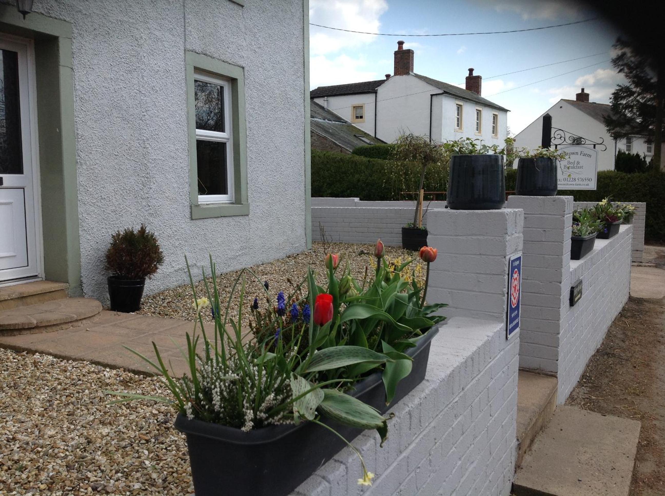 Photo 21