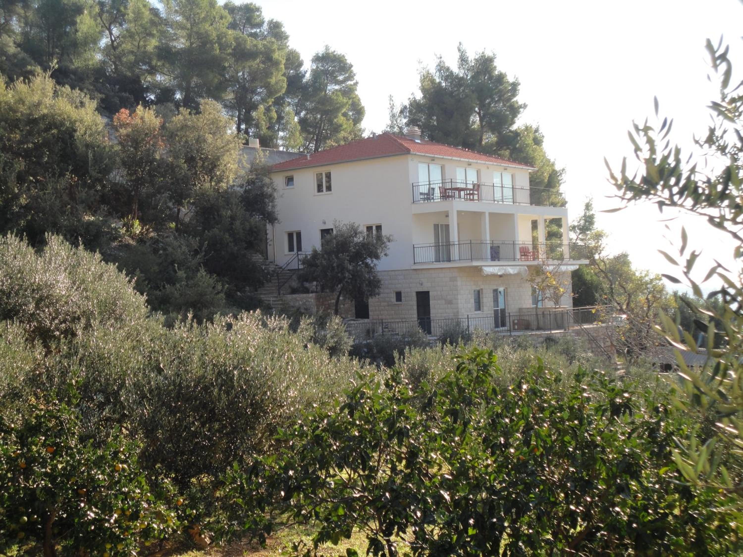 Photo 42