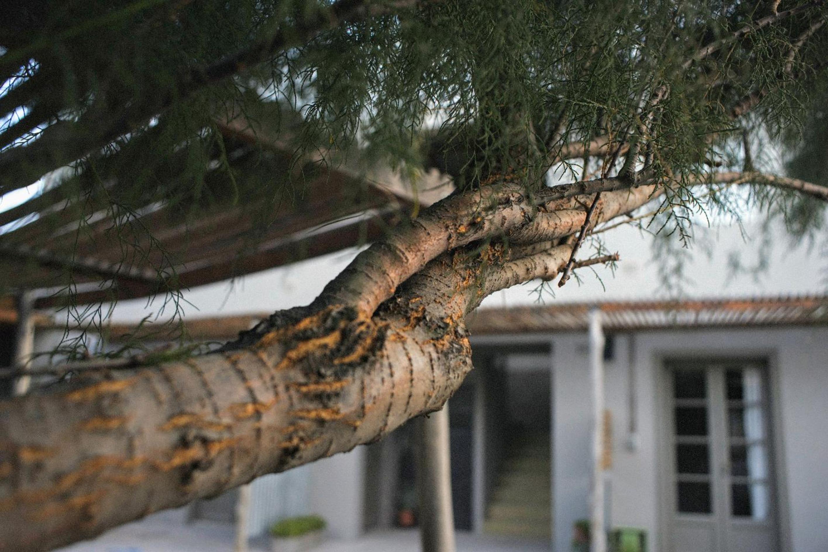 El Poblado