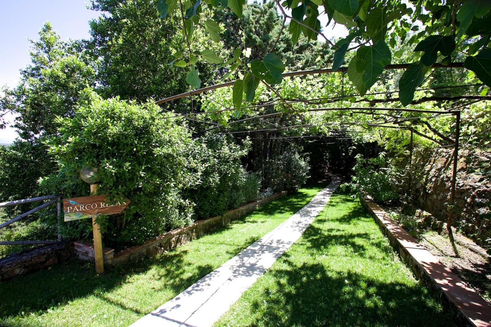 Photo 42