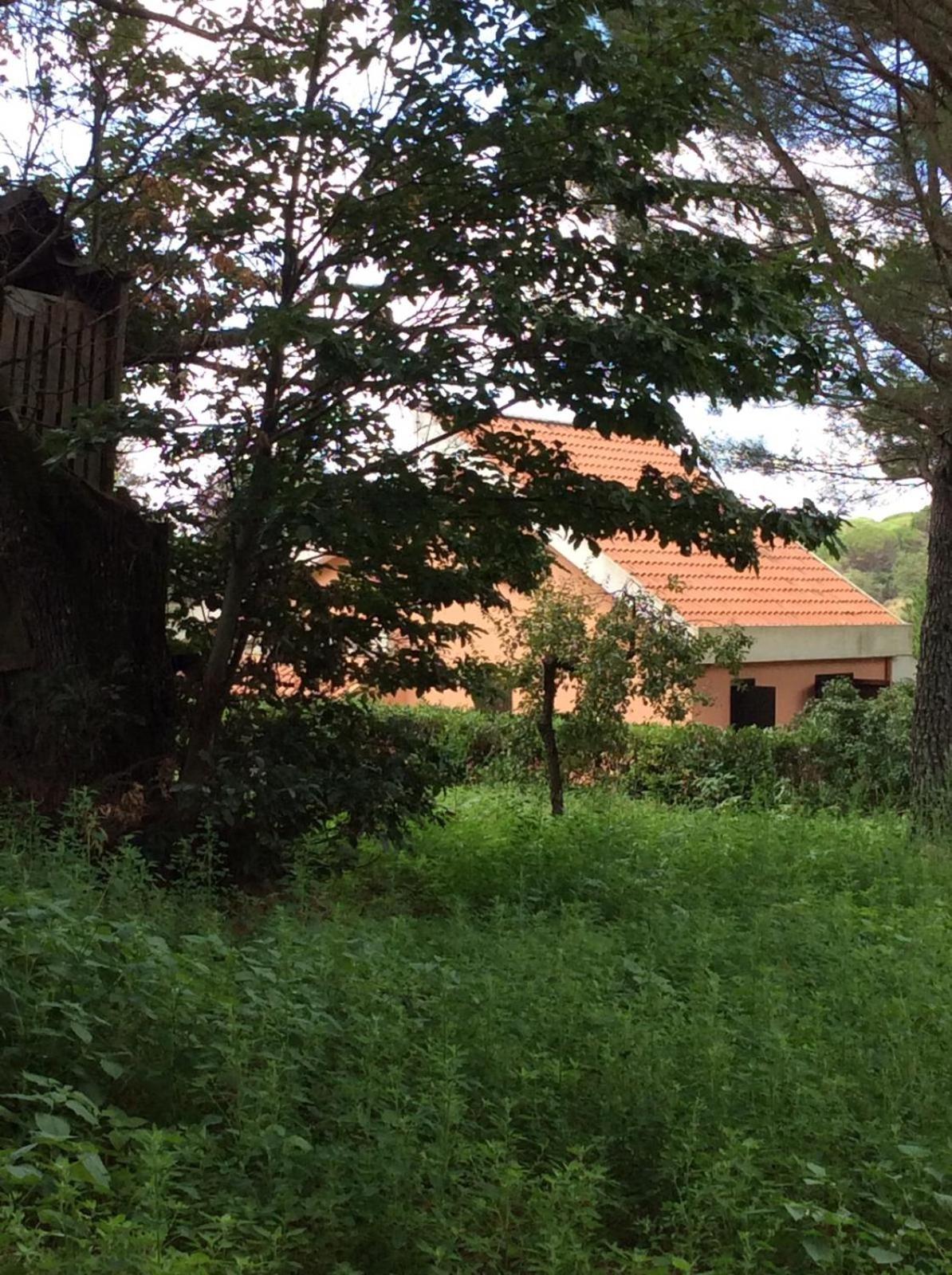 Photo 28