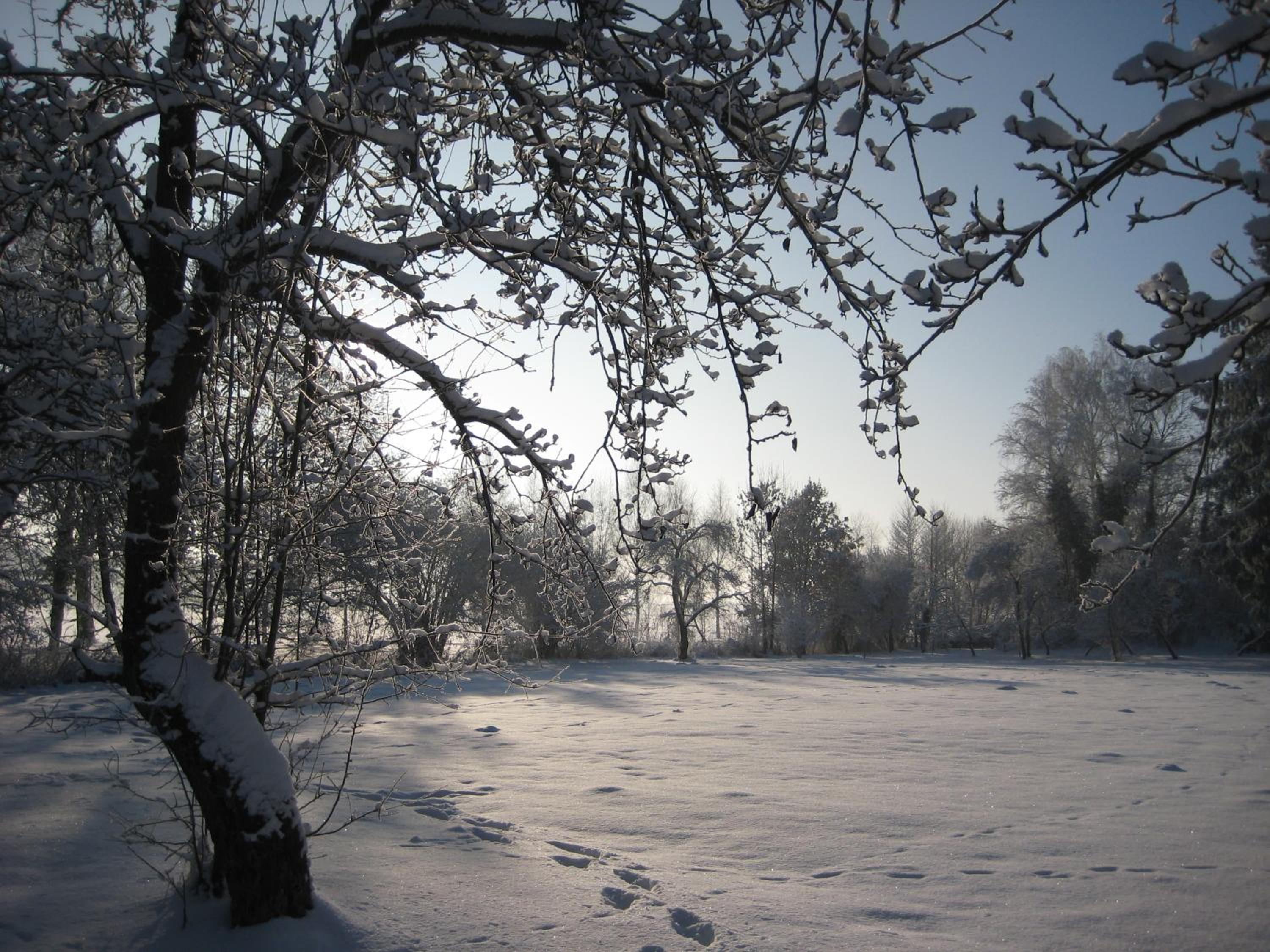 Photo 32