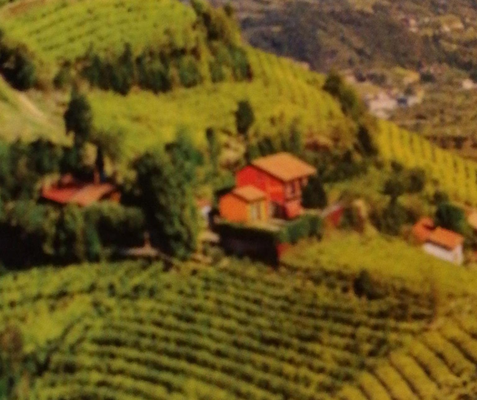Agriturismo la Preara view 4