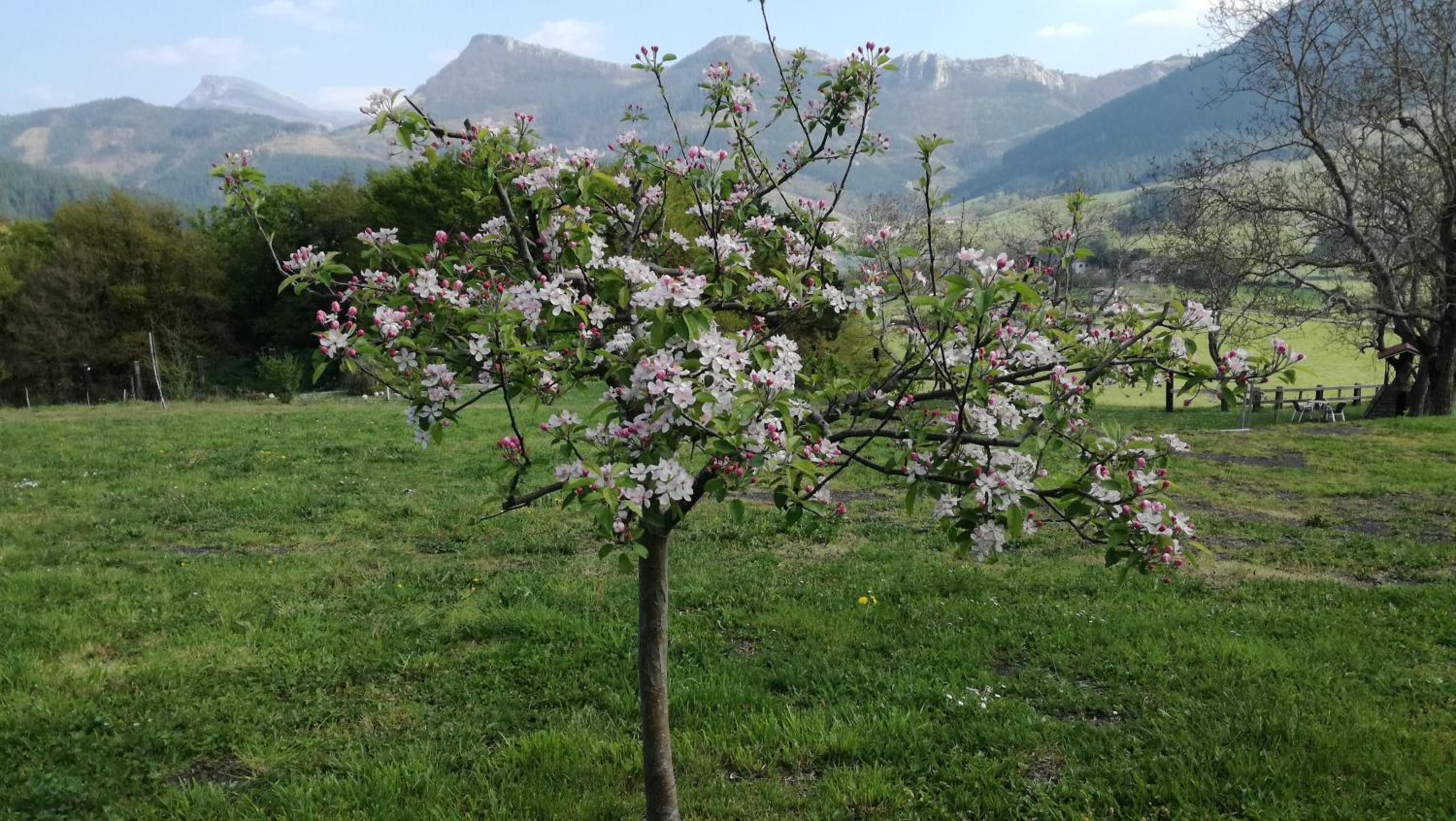 Casa Rural Urkulu Landetxea