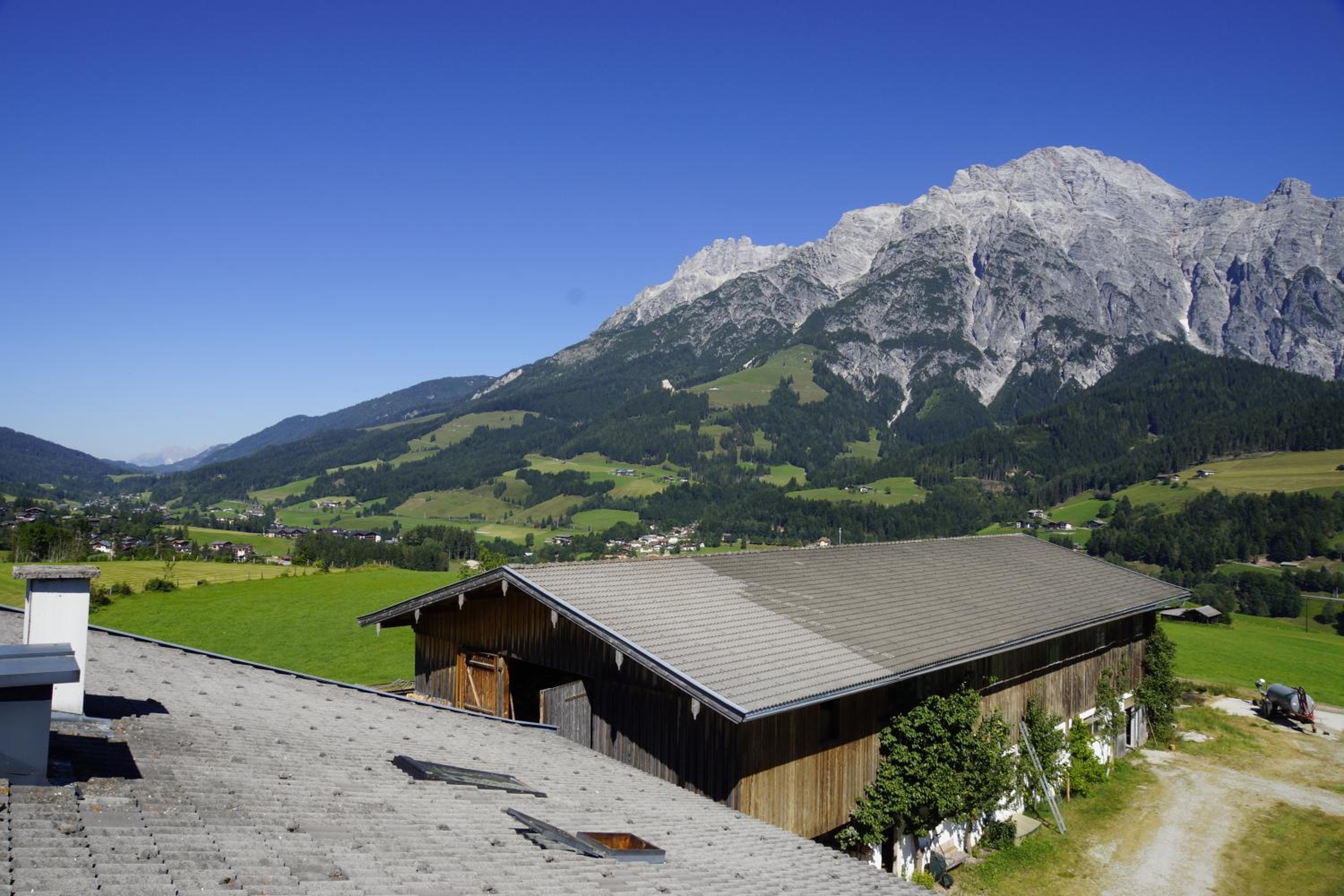 Paulingbauer