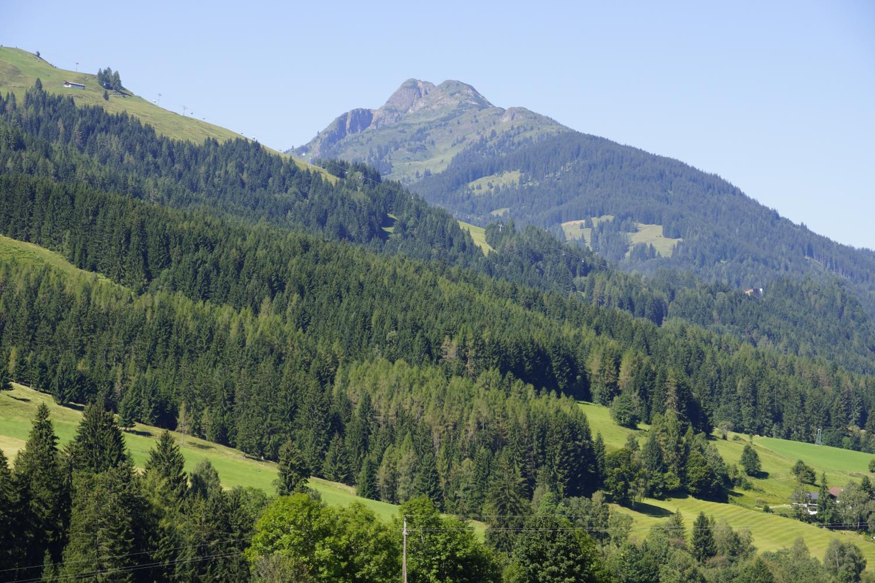 Paulingbauer