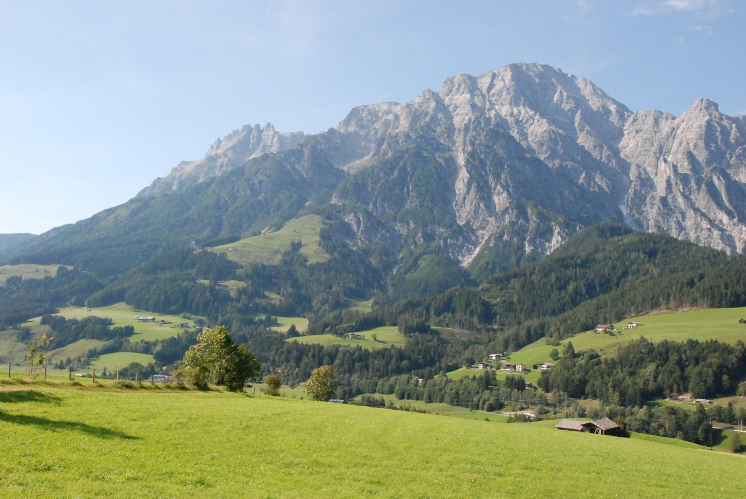 Paulingbauer