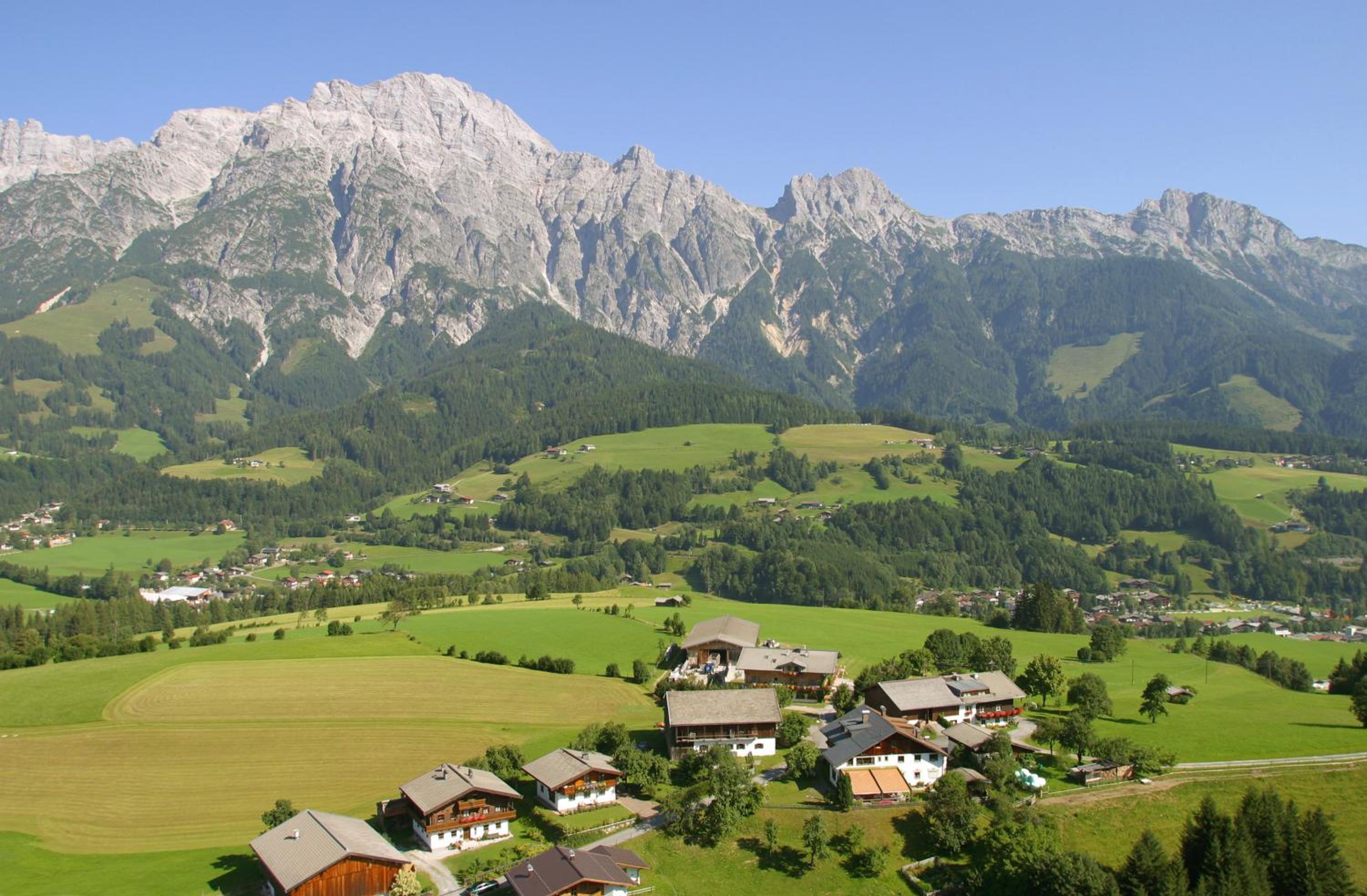 Paulingbauer