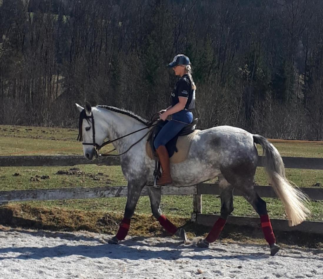 Traumhafte Wohnung auf Pferde Ranch