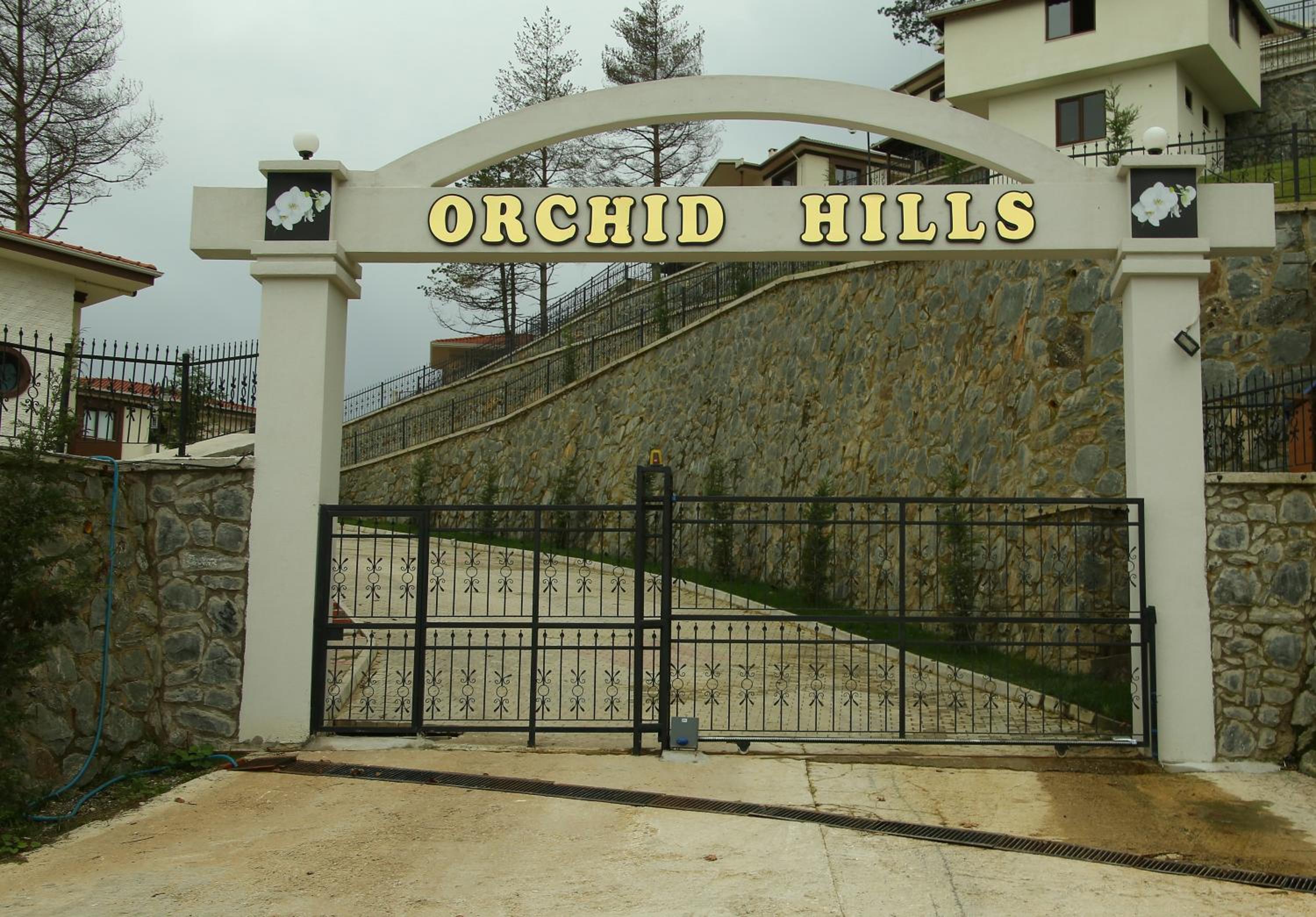 Colline delle orchidee — photo 5