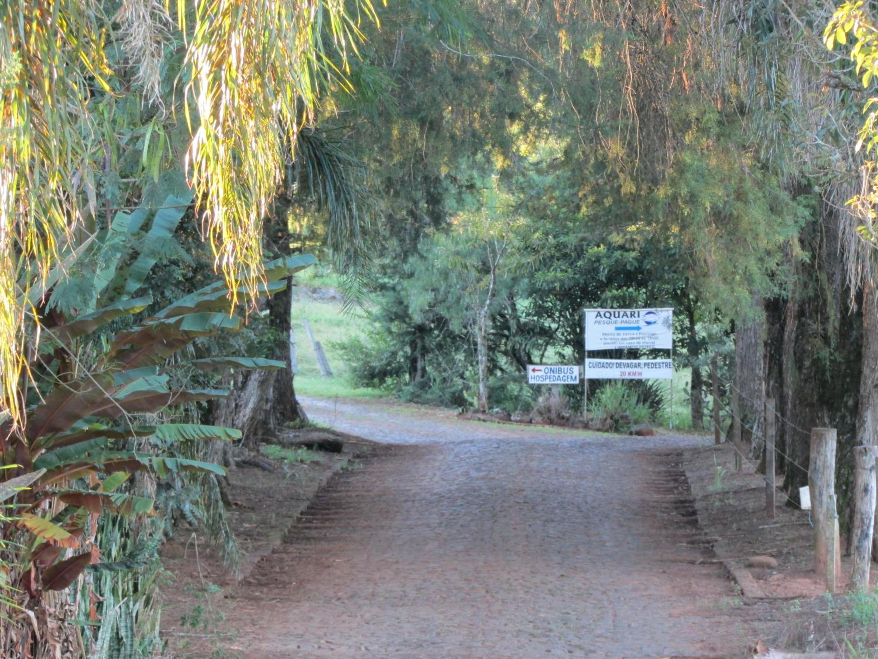 Photo 46