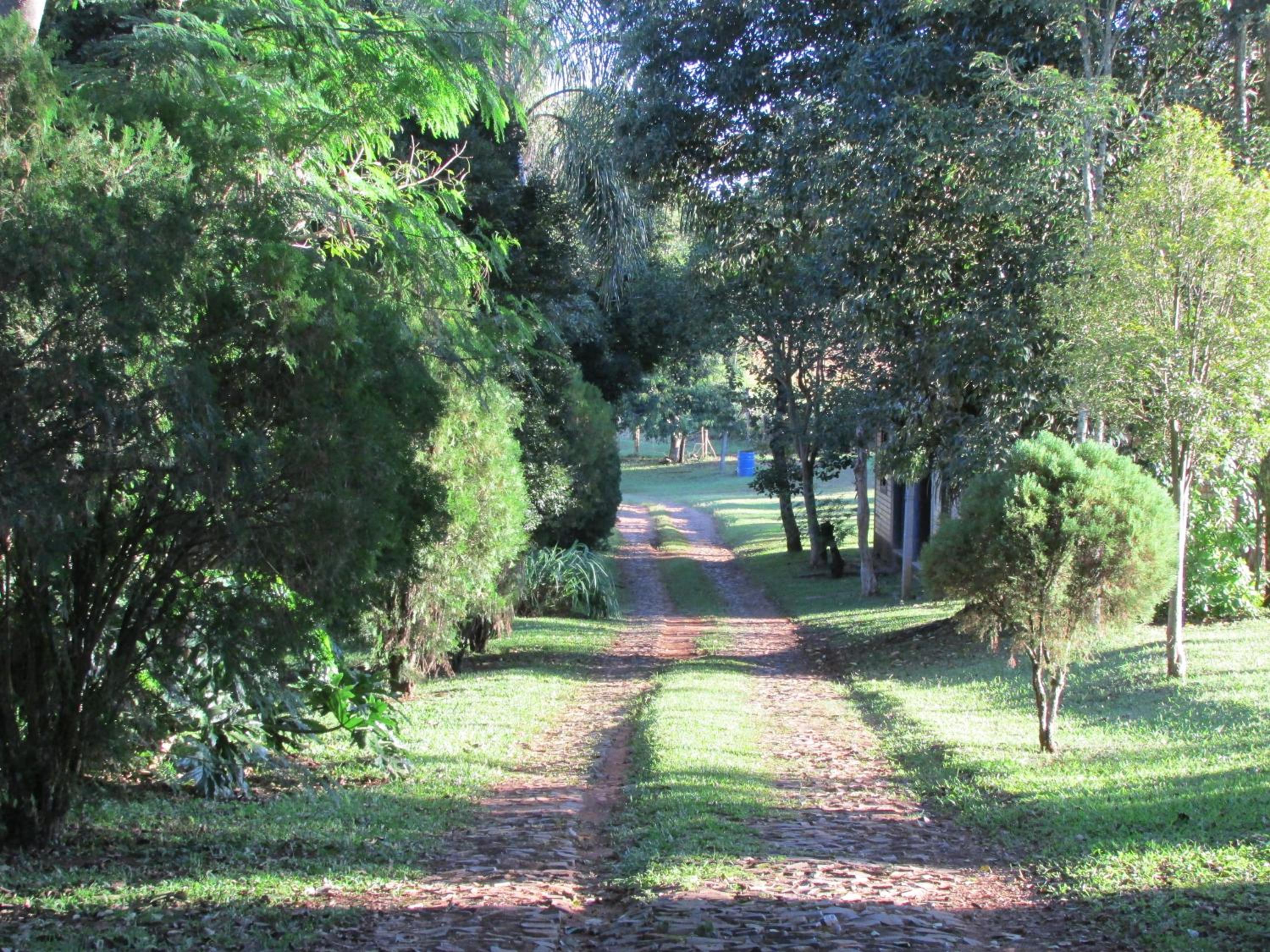 Photo 43