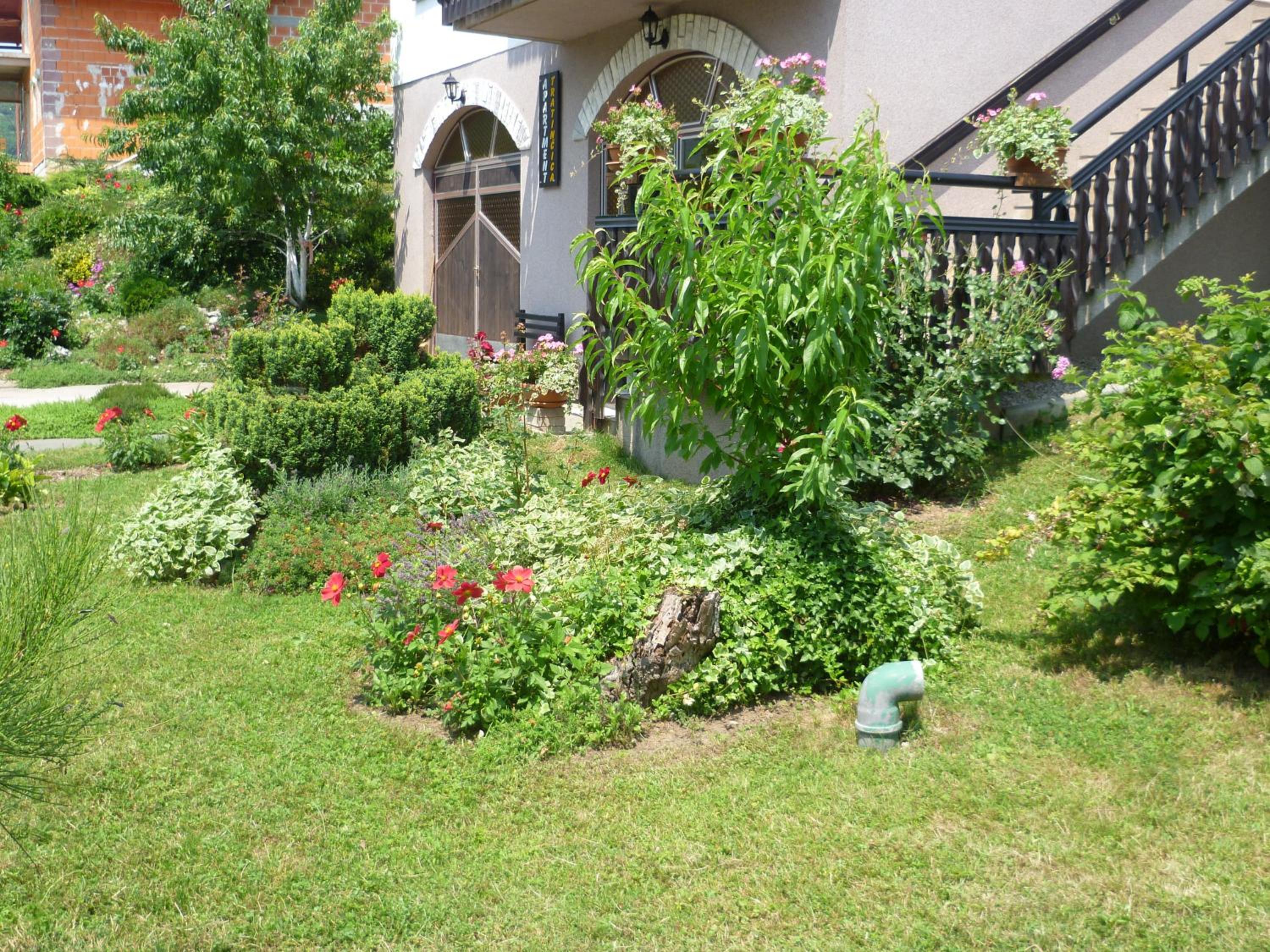Photo 46