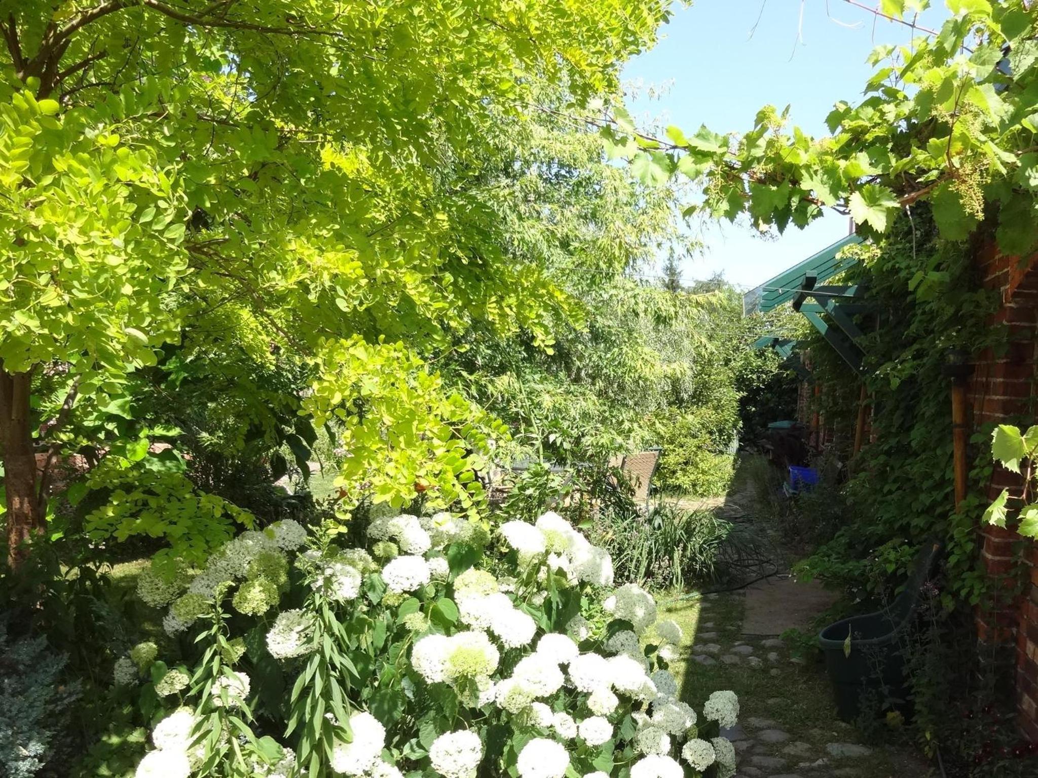 Kleine Pension view 5