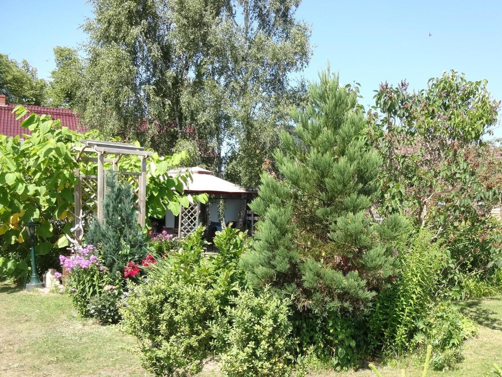 Photo 28