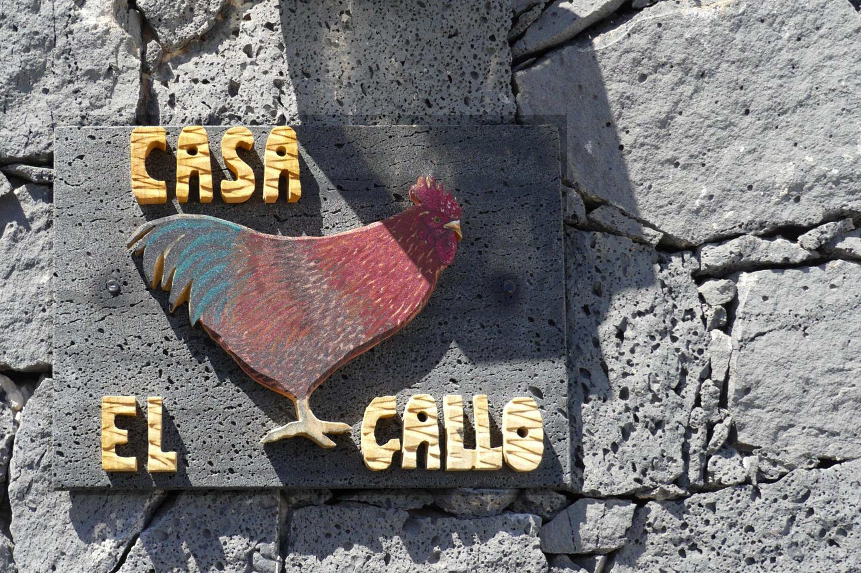 Casa el Gallo view 5