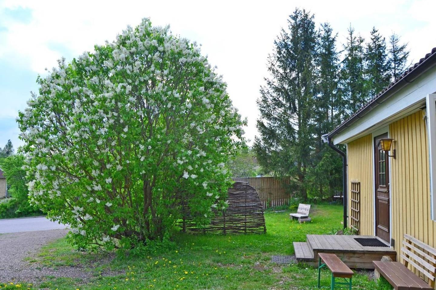 Photo 31