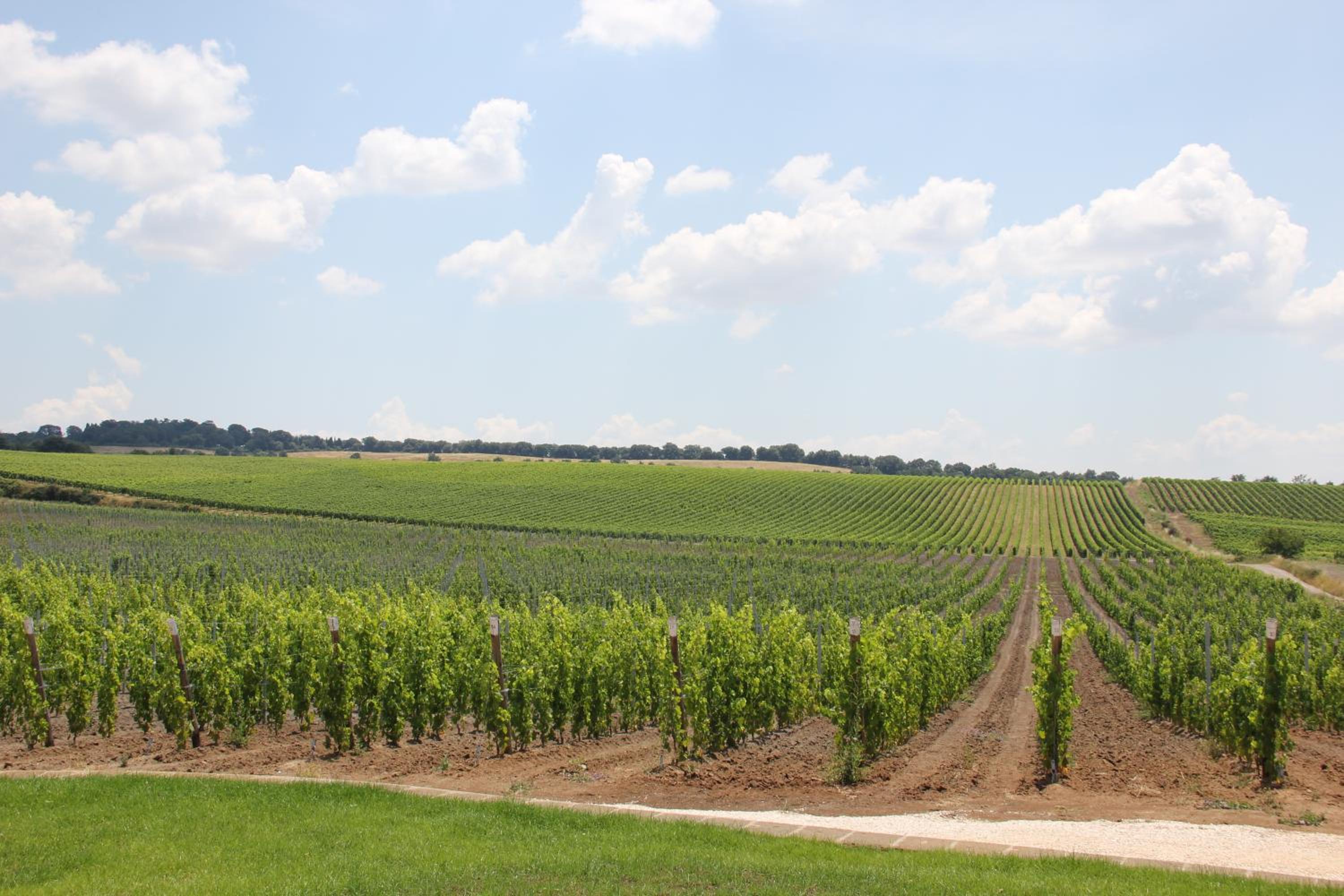 Agriturismo Poggio Al Tufo