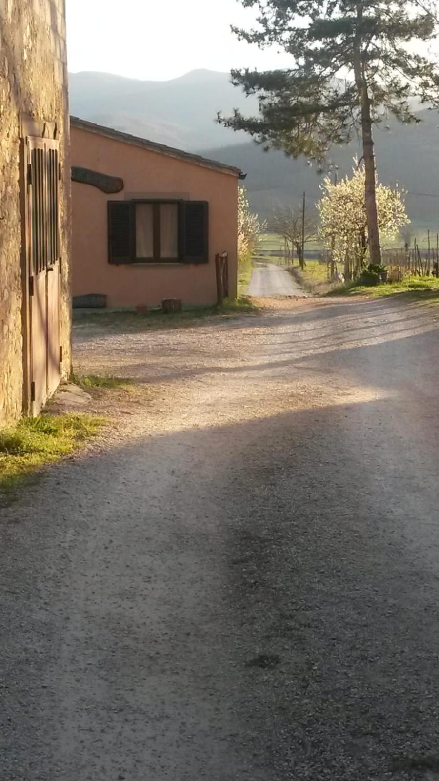Agriturismo Terre di Beba view 3