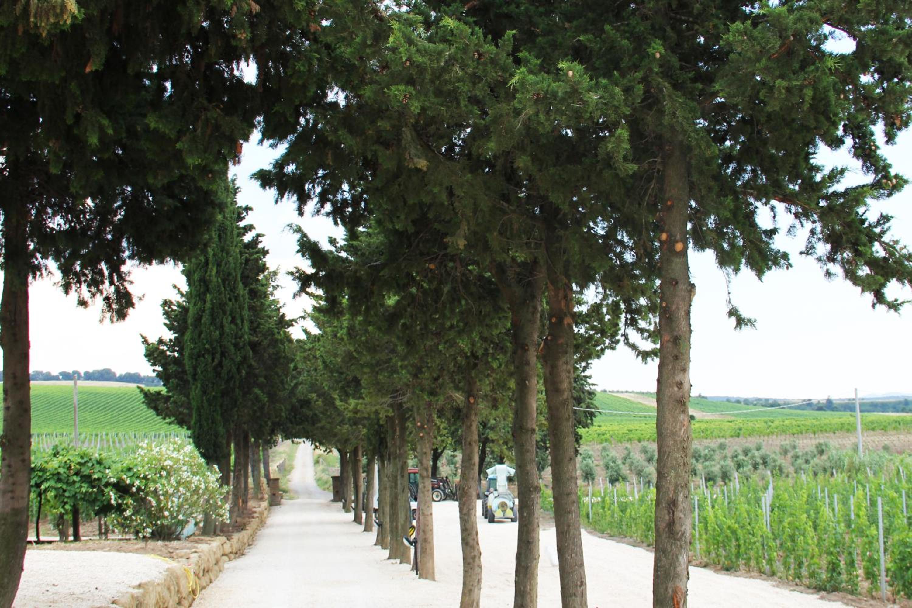 Agriturismo Poggio Al Tufo