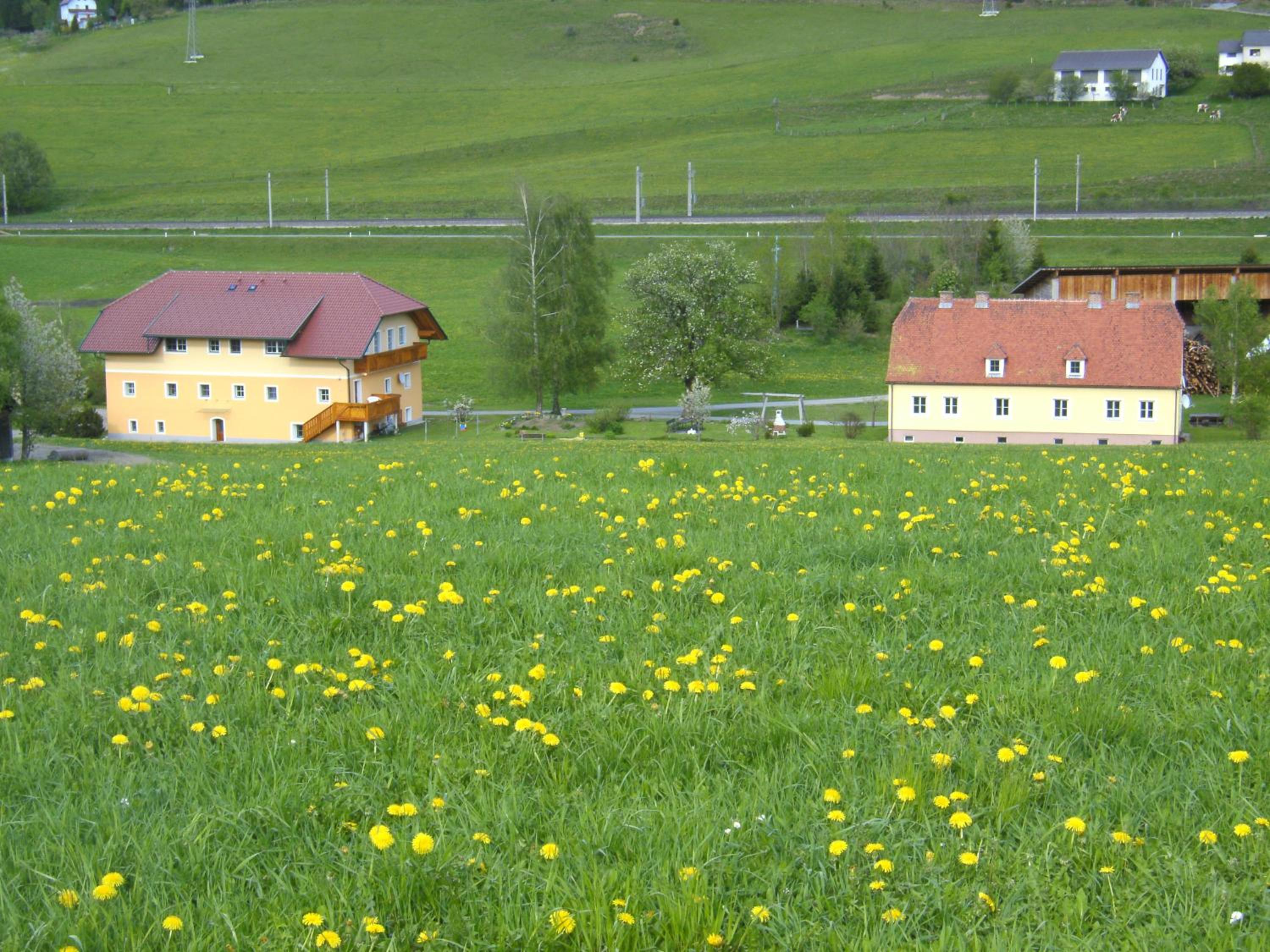 Ferienhaus Wohleser